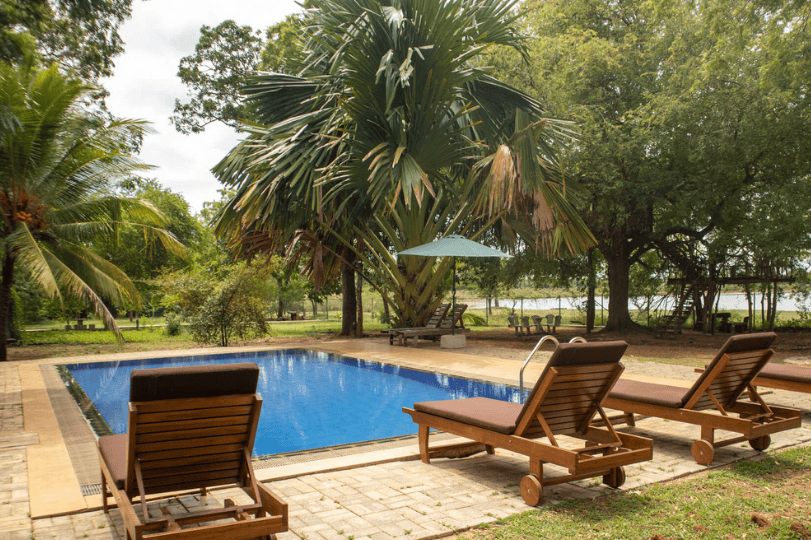 Tranquil Wild Boutique Hotel pool and sun-chairs in garden.png