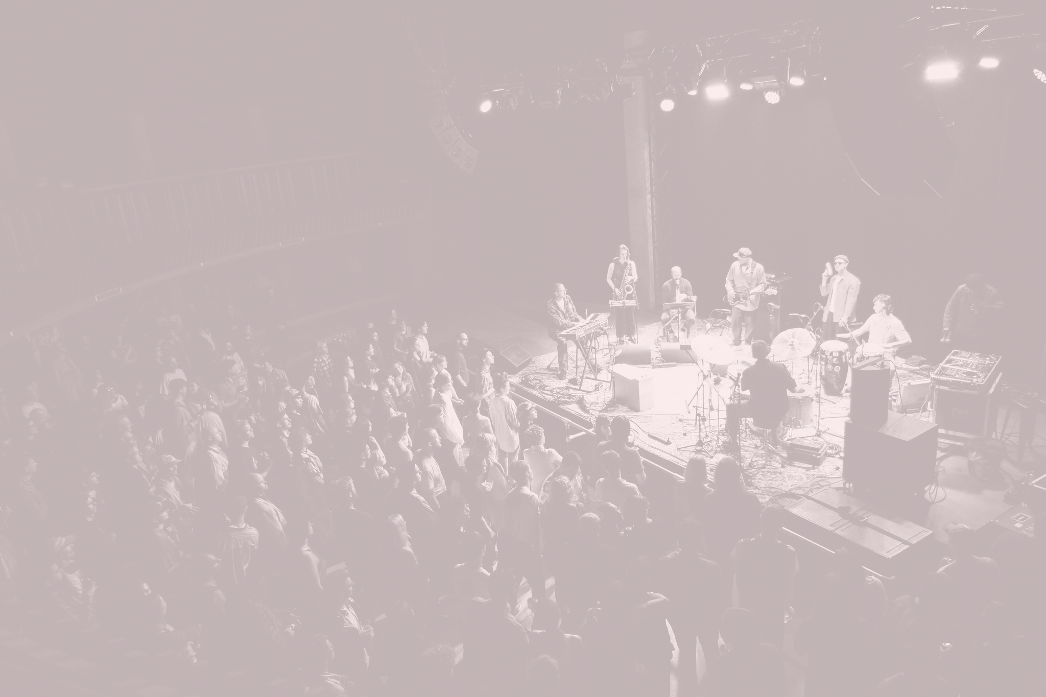 State of Live Music Industry Research - Pōneke + Tāmaki Makaurau