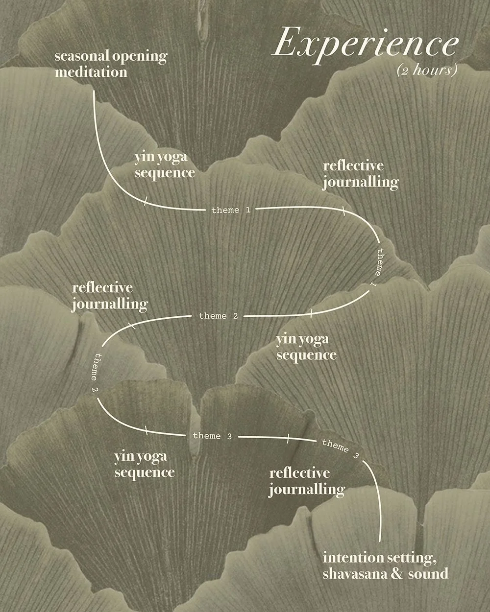 An instagram post with a greeny leafy background and a wavy line going down the middle with annotations explaining the different stages of the class