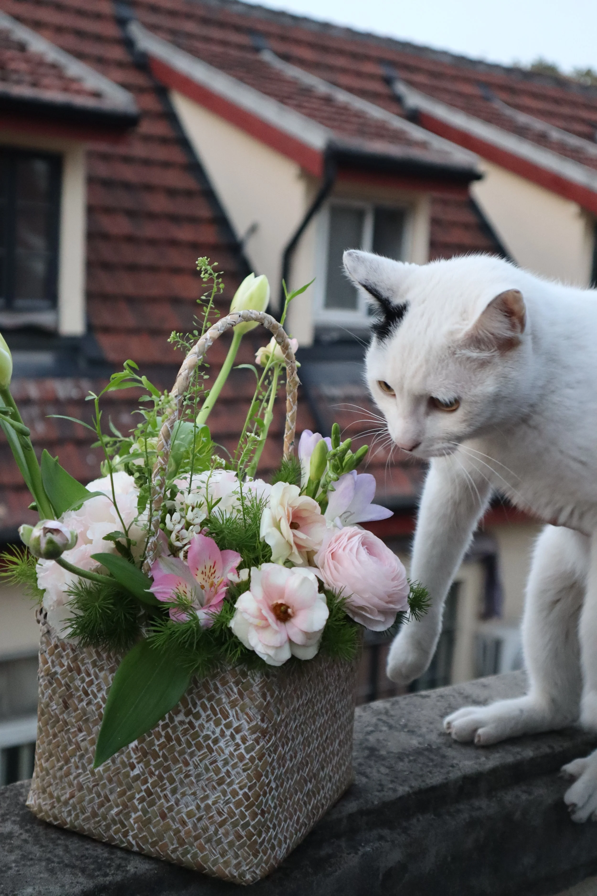 From Flowers to Dumplings: A Returning Guest's Story at Yin Studio