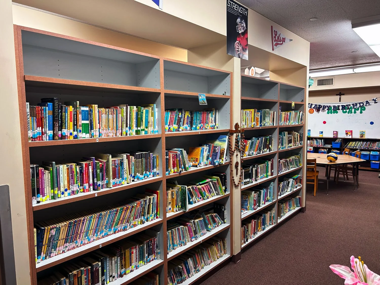 curriculum-library-1.jpg