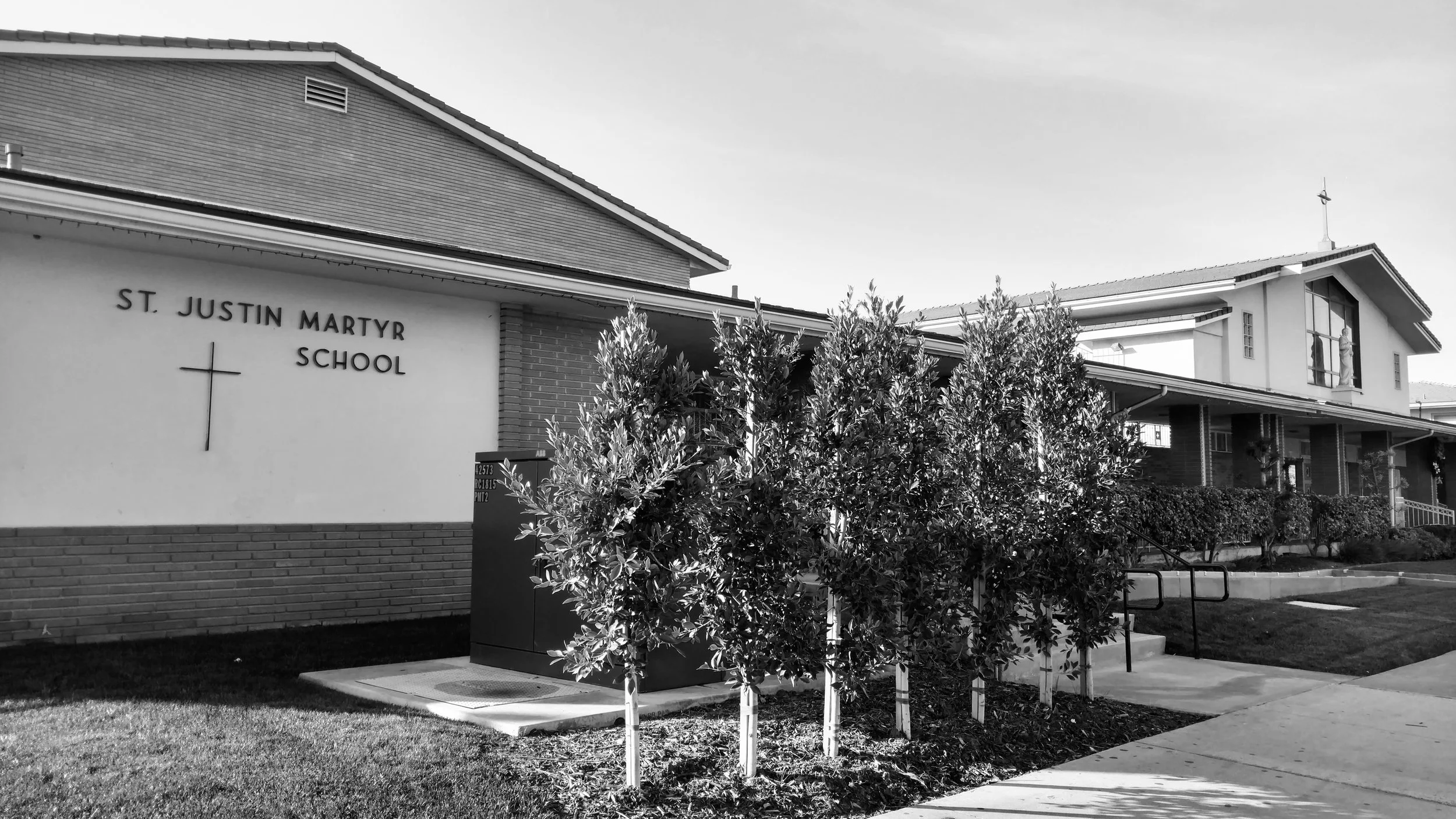 SJM Profile-BW.jpg