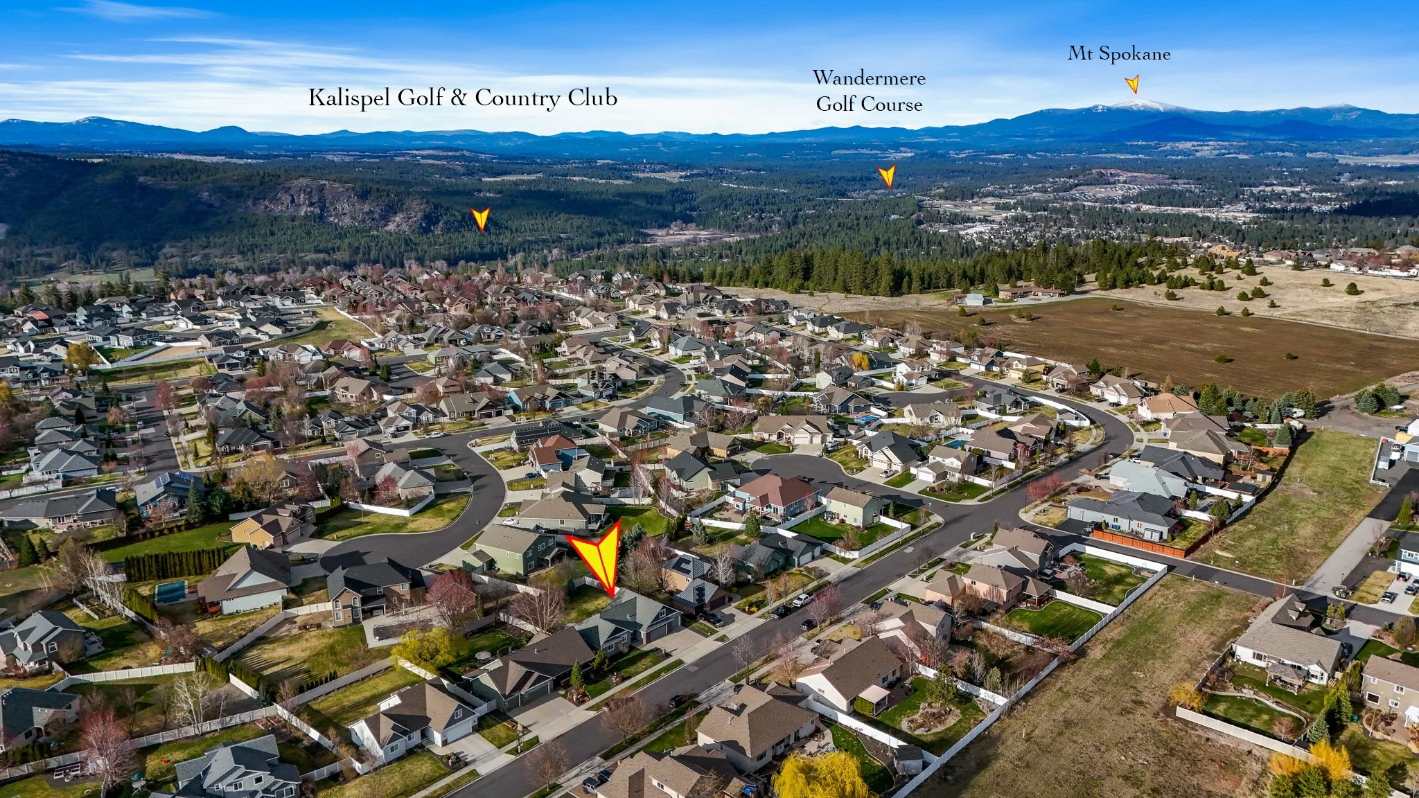 48.jpg