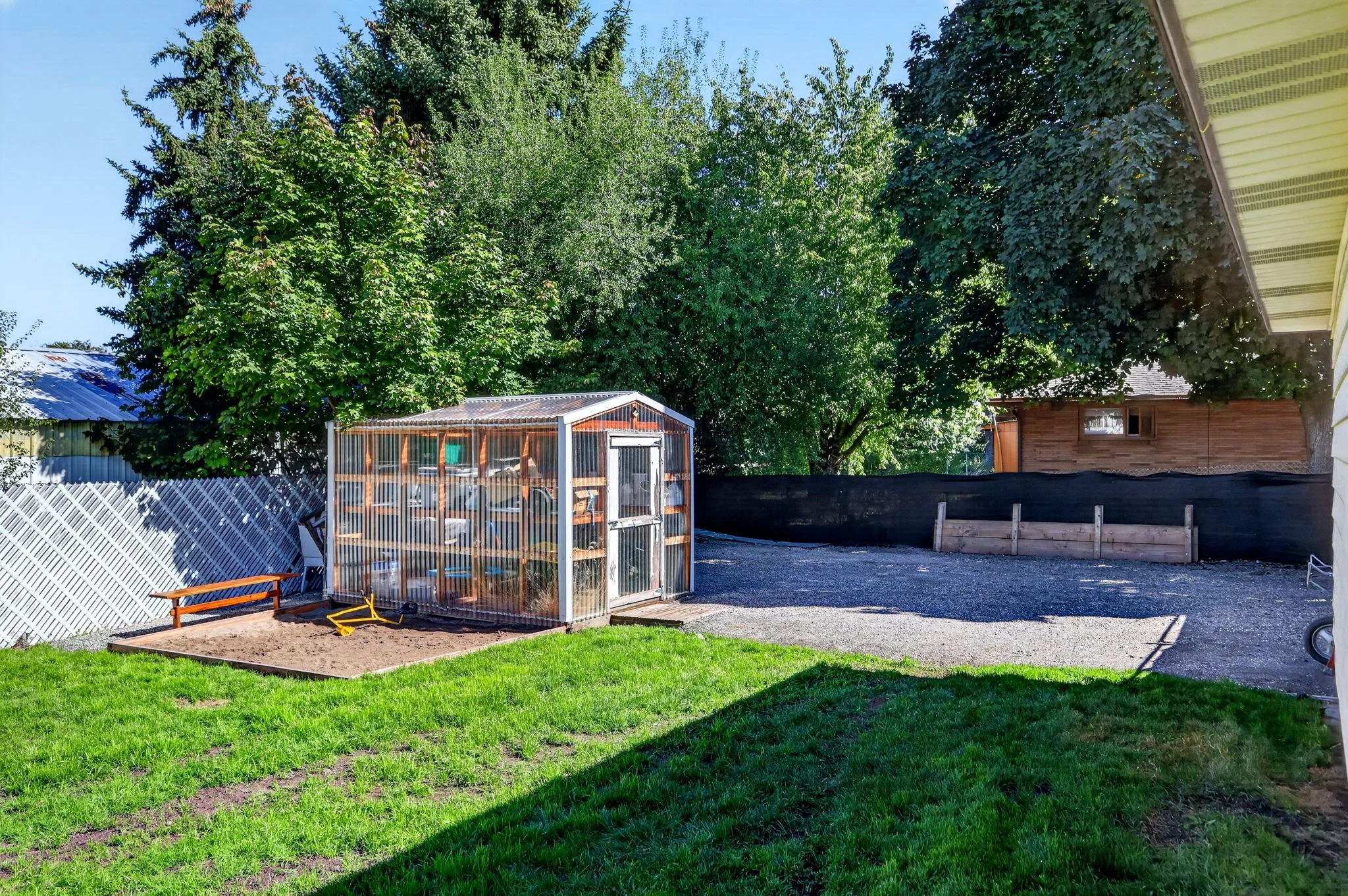 A backyard scene with a green lawn, a chicken coop, and trees providing shade, alongside a gravel pathway and neighboring houses.