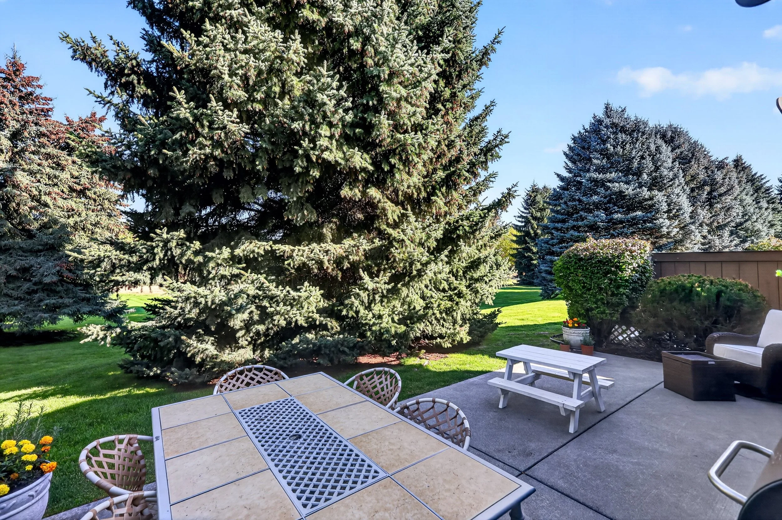 A backyard scene featuring a large evergreen tree, a patio with outdoor furniture including a table and chairs, a white bench, and potted flowers, with a lawn and other trees in the background under a clear blue sky.
