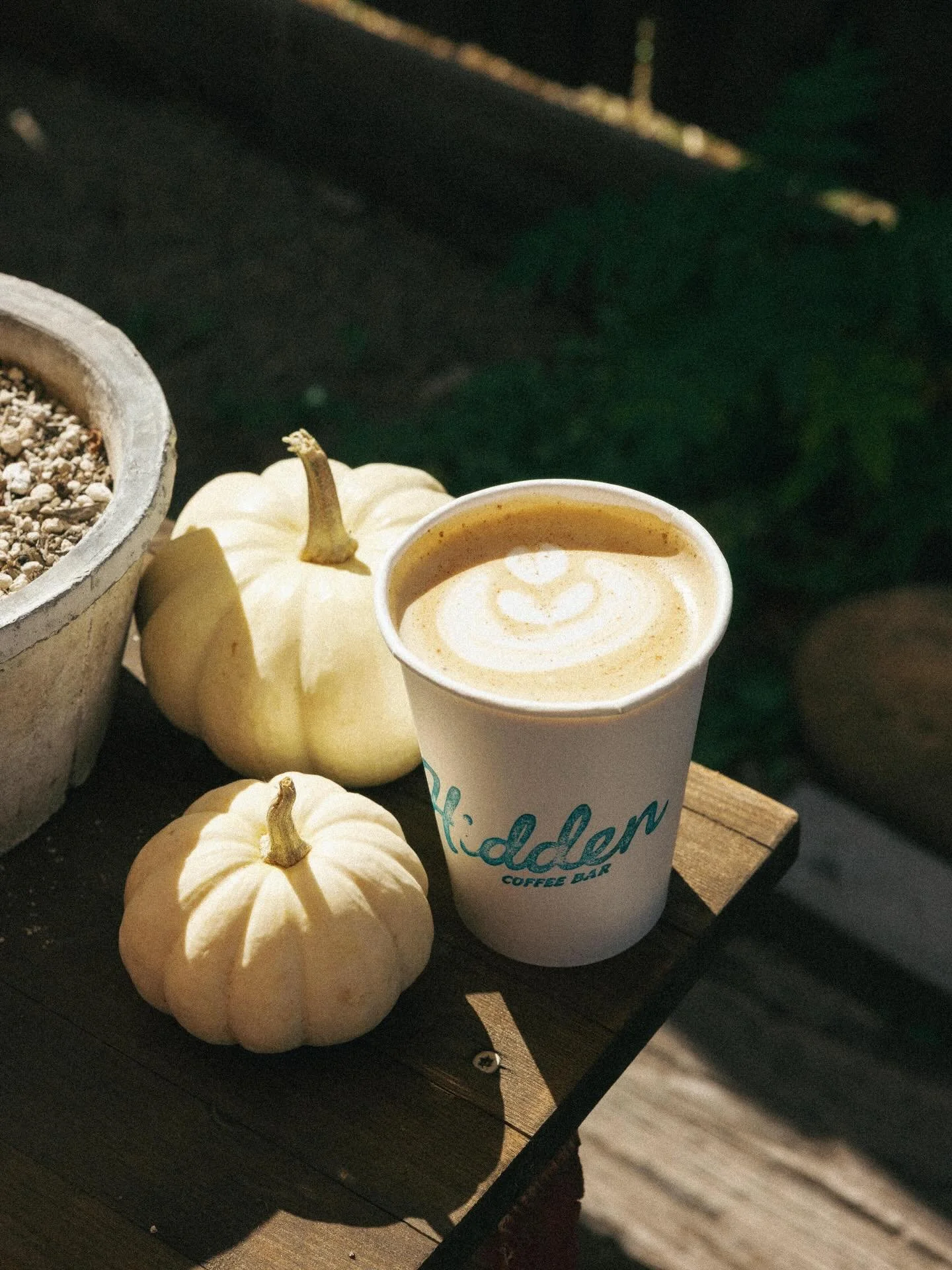 HAPPY THANKSGIVING!

Here at Hidden we have so much to be grateful for this Thanksgiving. Each and every one of you who have walked through our gates has helped make Hidden what it is. As a small business we truly take to heart  every time you choose