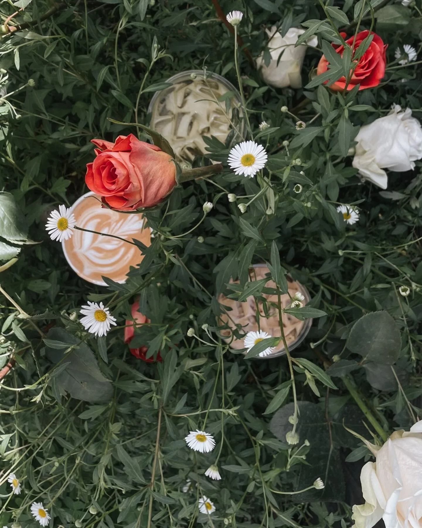 Spring is in the air, and we couldn&rsquo;t be more excited out here in the patio!

To celebrate, we&rsquo;re launching one of our most favorite syrups to-date!🌹house-made organic rose🌹 

Featuring this years spring drinks:

The Rosie - a rose syru