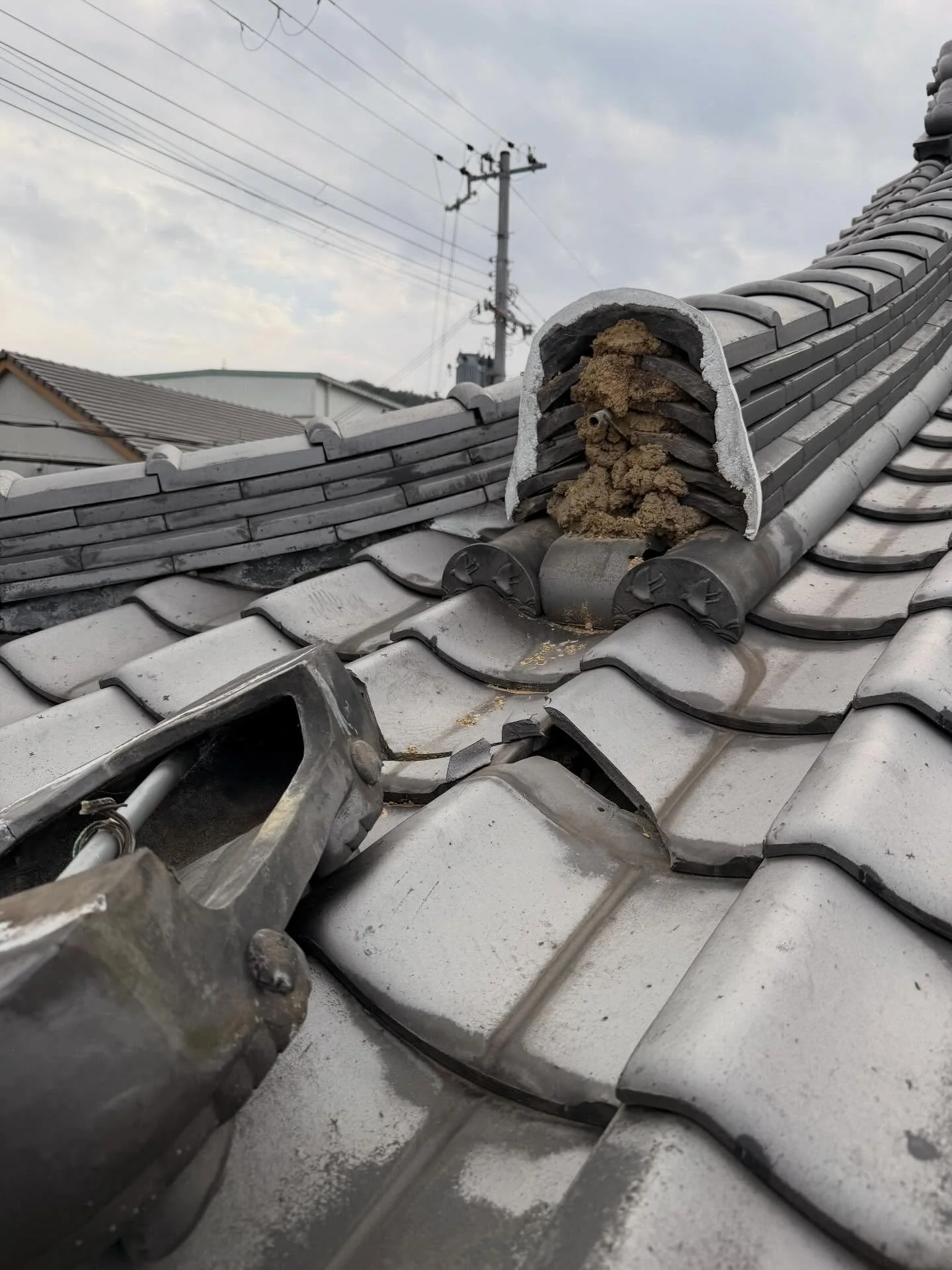 屋根修理🔧
強風の影響か、鬼瓦が今にも外れて落ちそうな状態でした。
落下していたら大惨事になりかねない状況でした。
何もなくて本当によかった。
屋根は異変に気づきにくいので要注意です。