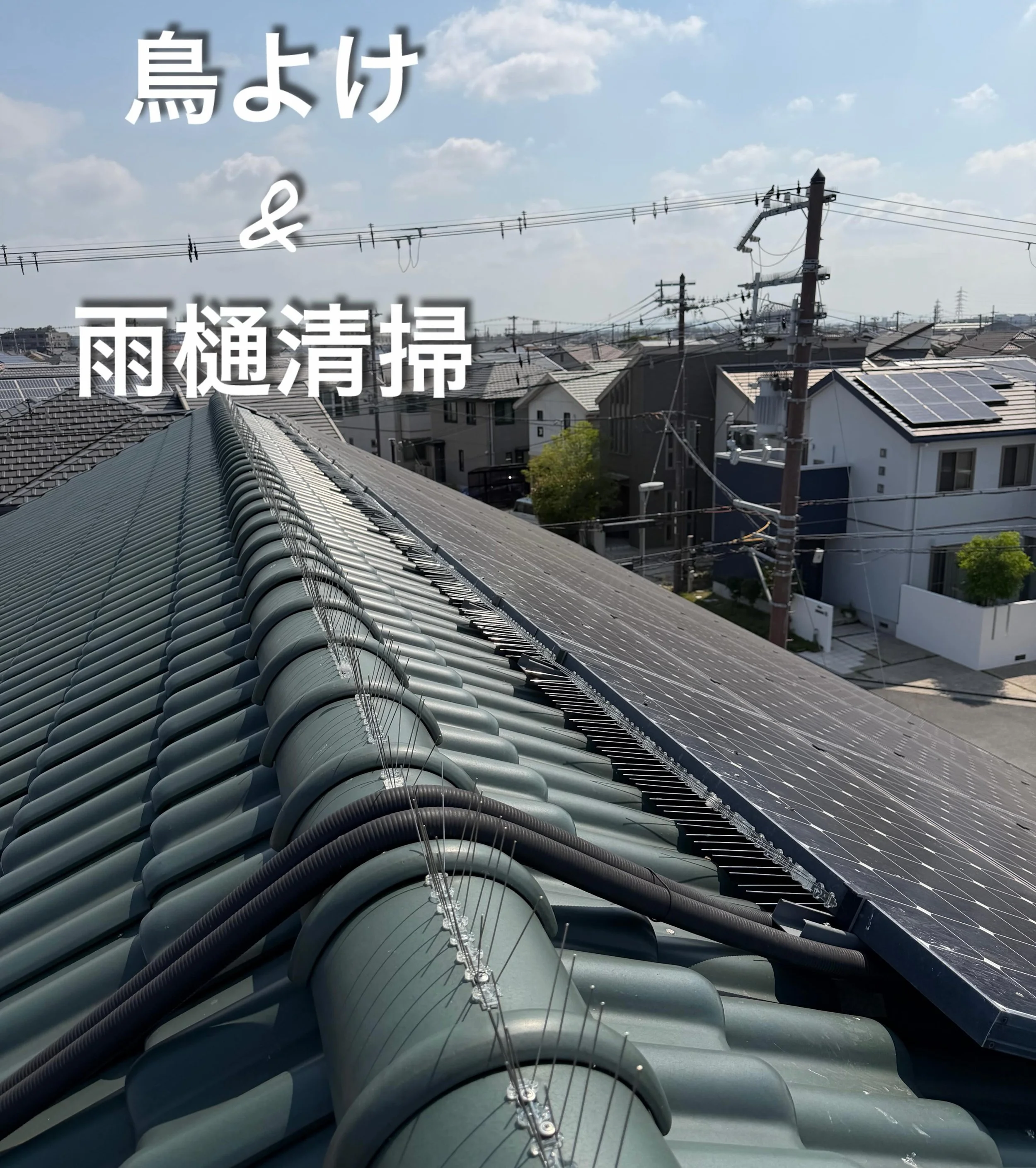 【施工事例】

ハトよけ対策と雨樋清掃をさせていただきました！

雨樋の詰まりをしっかり清掃し、ハト被害対策も施工👌
見た目だけでなく、建物を長持ちさせるためにも定期的なメンテナンスは大切です！

お困りごとなどございましたらお気軽にご相談ください！

【施工エリア】
兵庫県全域 / 加古川市 / 高砂市 / 姫路市 / 明石市

【 相談・見積もり無料 】
@k_studio1988のDMまたは
0794-40-3243までお電話ください😊

お客様とのご縁を大切に、
一件一件真剣に向き合