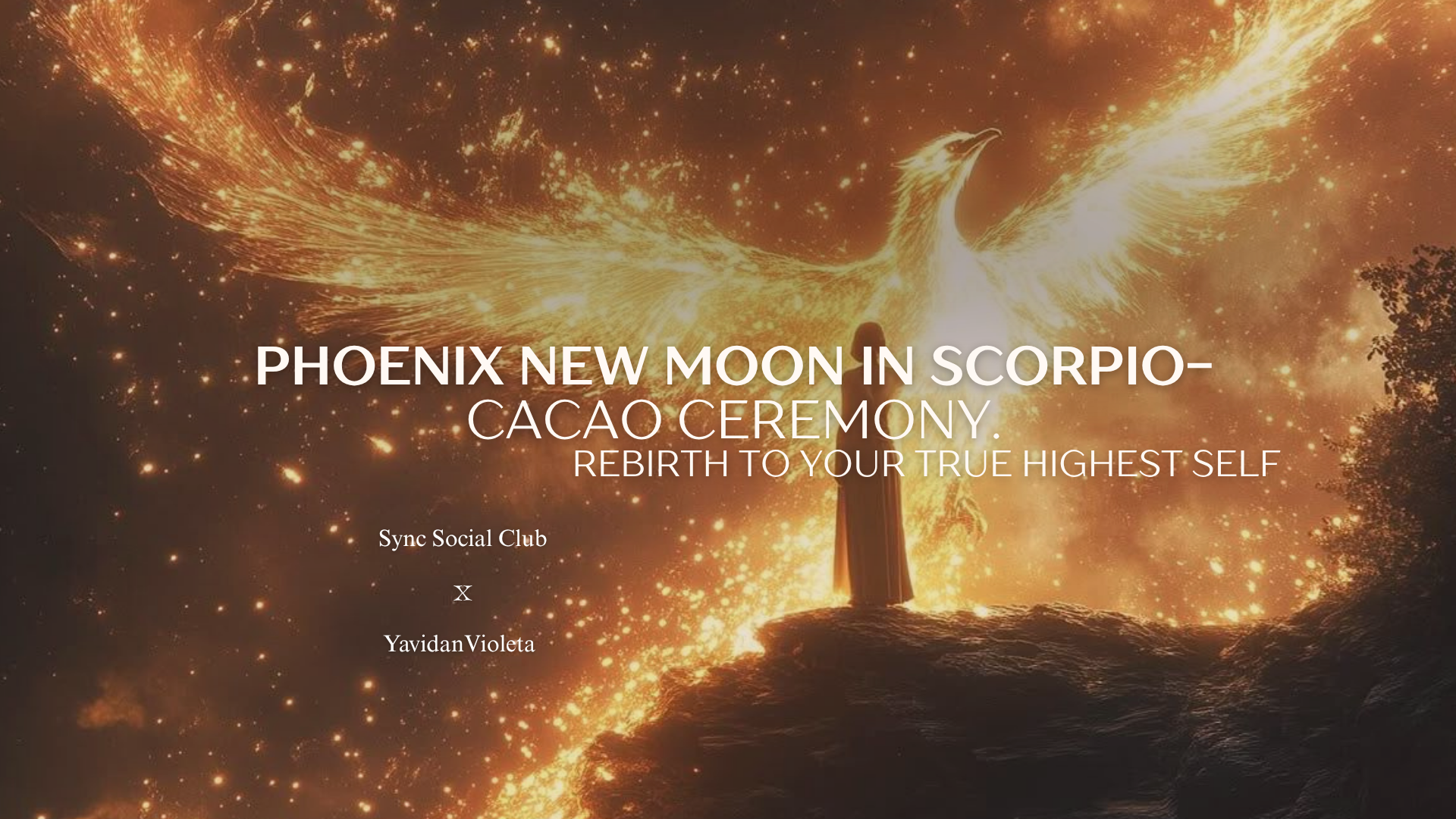 Phoenix New Moon In Scorpio — Cacao Ceremony