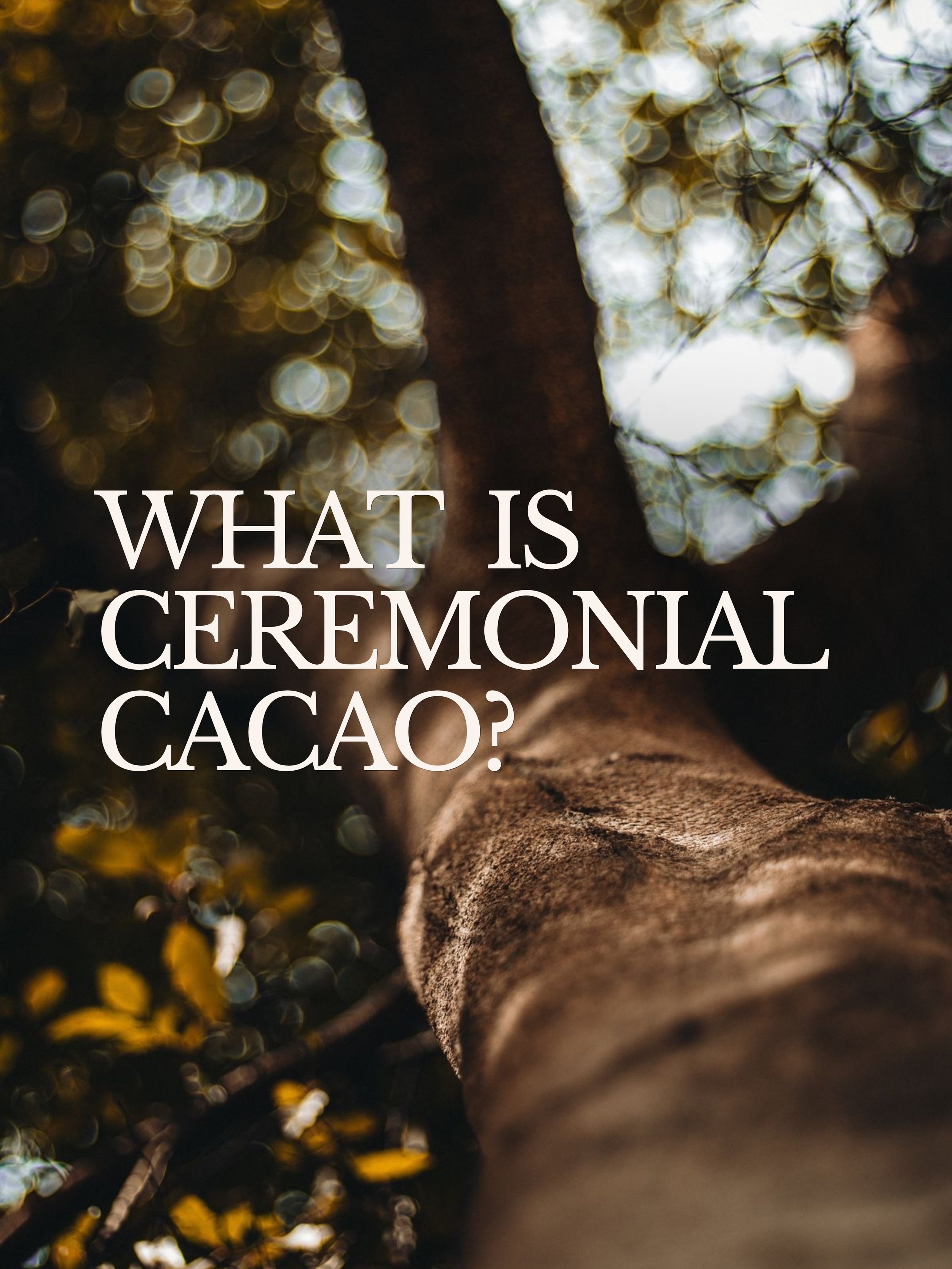 Ceremonial cacao reminds us that connection starts with presence!

We created SYNC Cacao to bring this ritual into everyday life🤎

By @sync.socialclub 

Have you ever tried ceremonial cacao?
