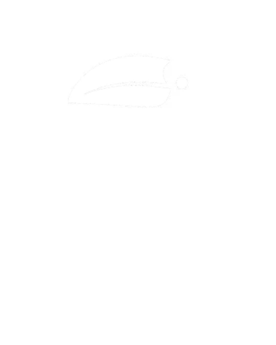 https://amazoniacai.com/