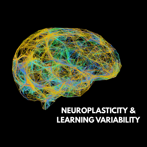 Neuroplasticity & Learning Variability