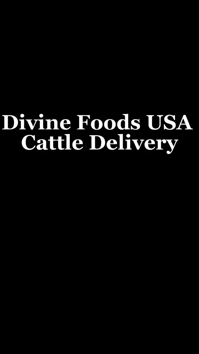 Hey y’all, Afzal here!
A truck load of beautiful cattle just arrived! I greet them with peace!
Just another day on the ranch. Living life and grateful for the circle of life.
How are y’all today? What are you up to?
We’d love