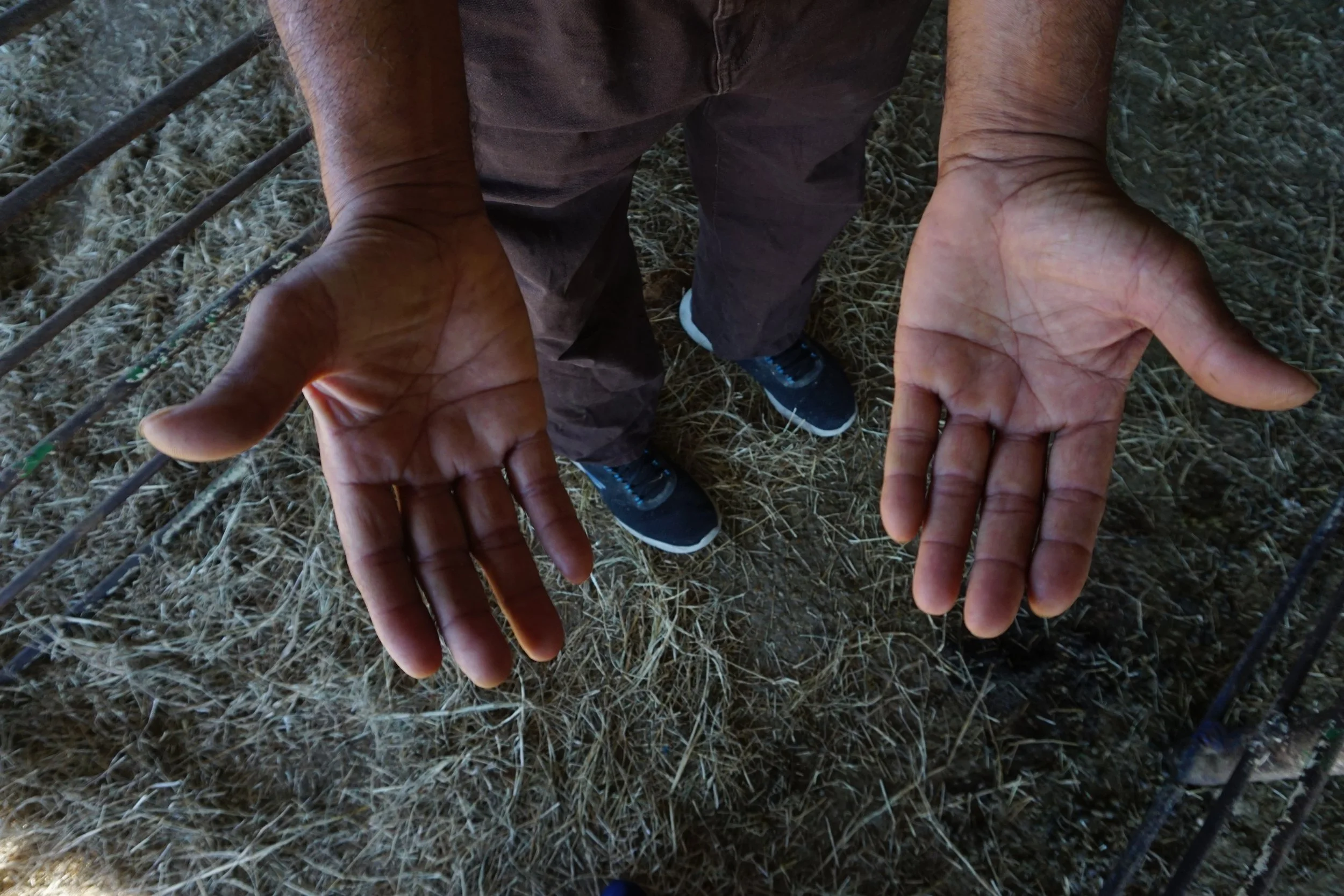 Volunteers with hands out in front of them