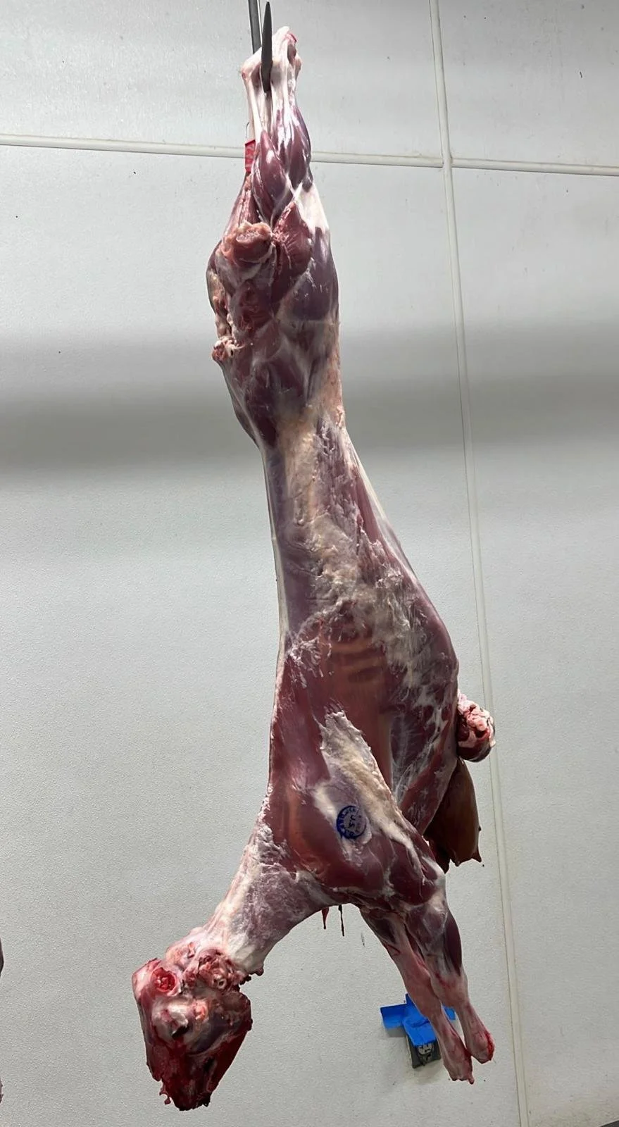 Lamb Carcass - With Head