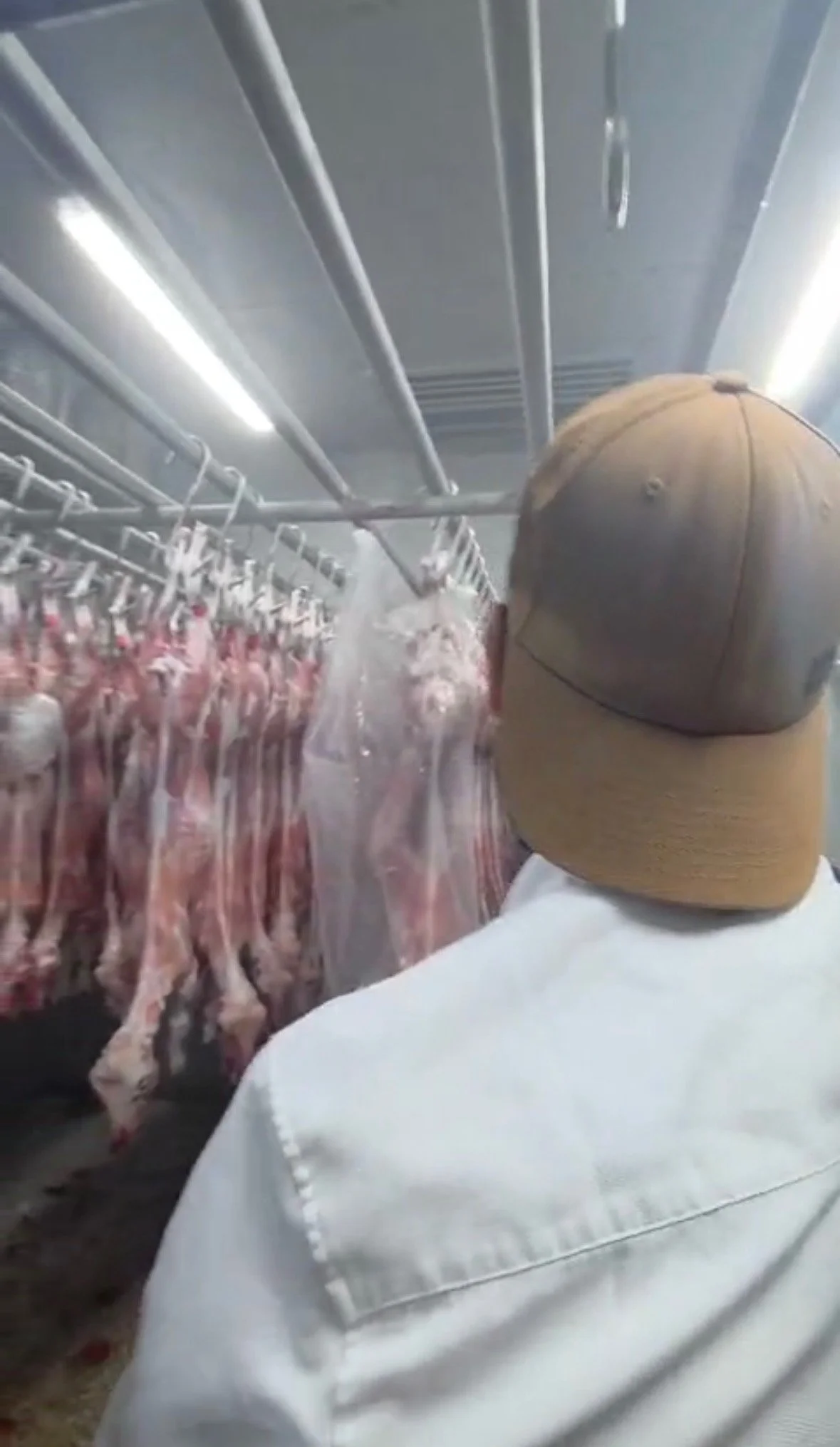 Freshly Slaughtered Halal Meat