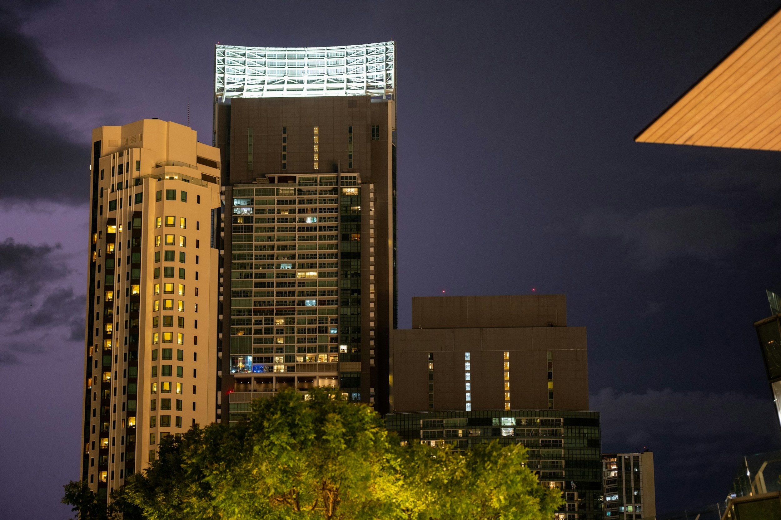 Nighttime cityscape with illuminated skyscrapers and a lit tree in the foreground.