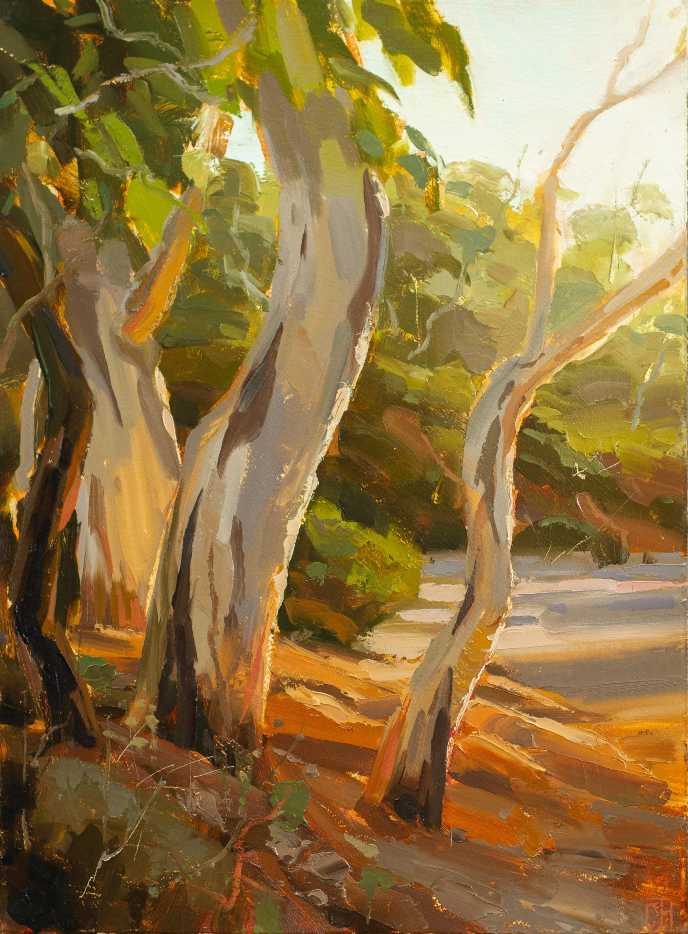 Sydney Contemporary Art Fair, Arthouse Gallery, 2026