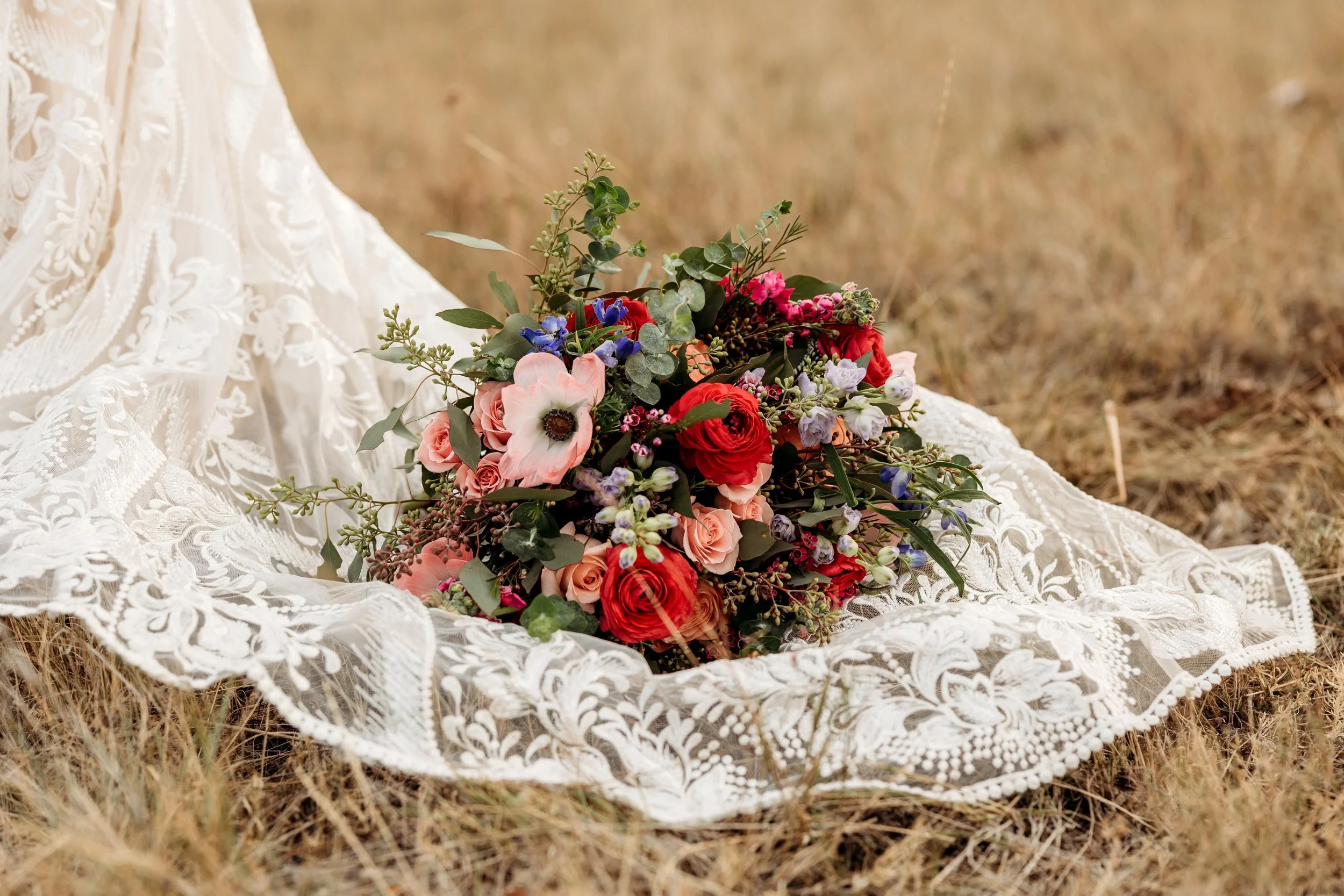 Photo Credit to Emily Robin Photography.