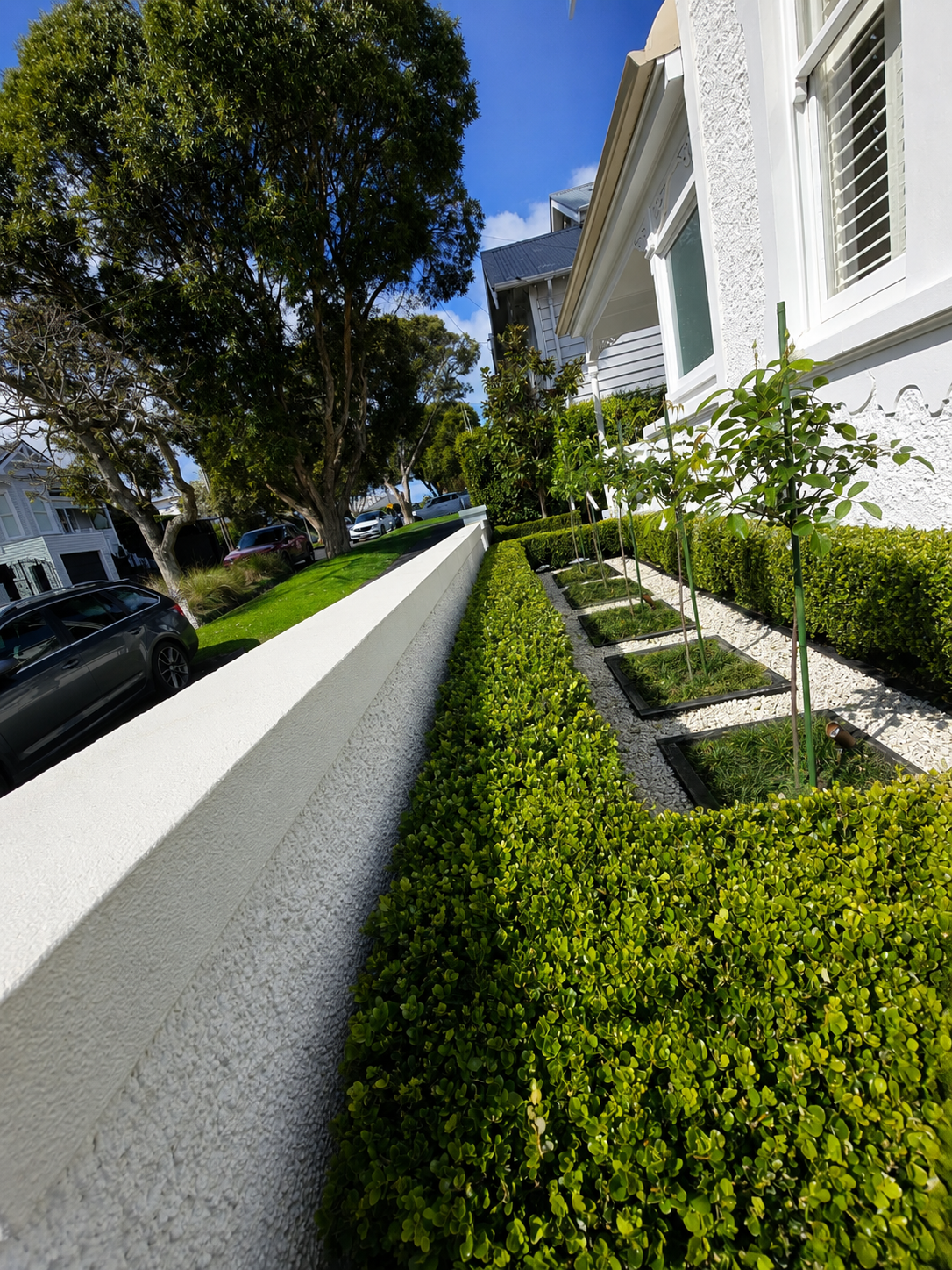 Rendered concrete retaining wall with landscaped garden and formal hedging at a residential property in Auckland, New Zealand.