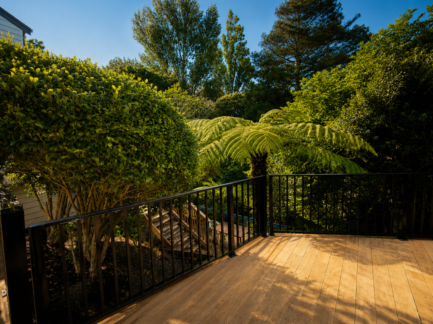 Hardwood timber deck with black aluminium balustrade overlooking mature native trees and landscaped garden in an Auckland residential backyard.