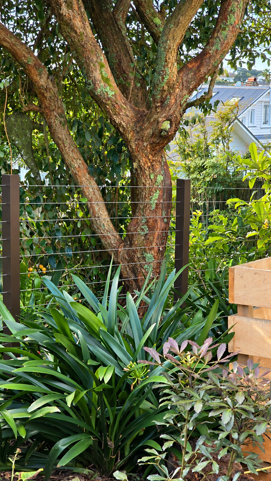 Custom stainless steel cable fencing with dark steel posts, integrated into lush garden planting beneath a mature tree in Auckland, New Zealand.