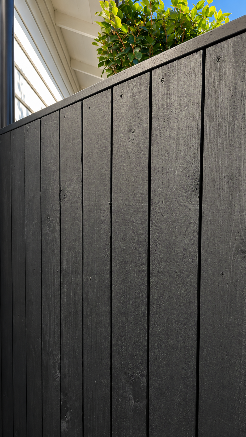 Close-up of a custom black timber privacy fence featuring vertical board detailing and a contemporary finish within a residential landscape project.