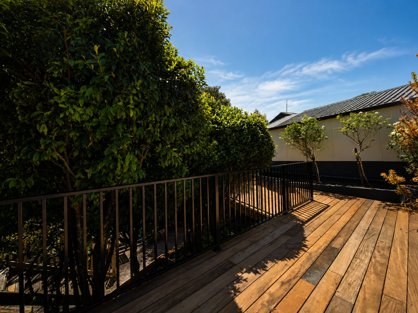 Modern hardwood deck with black aluminium balustrade overlooking landscaped gardens and mature trees at a residential property in Auckland, New Zealand.