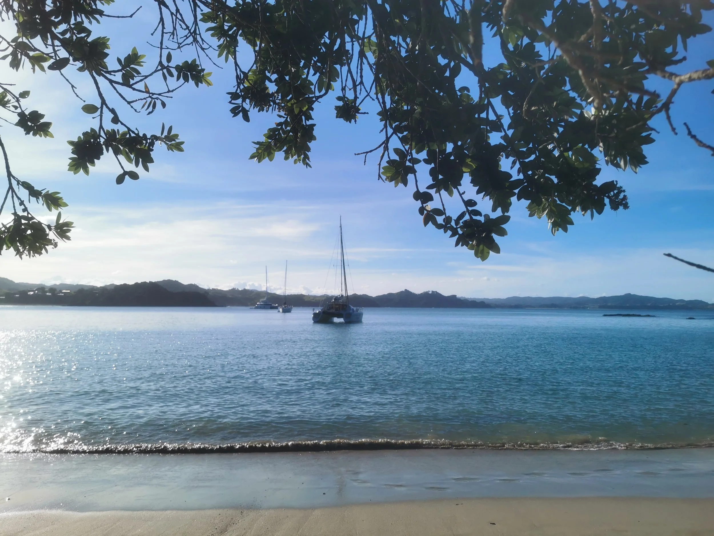 View of a peaceful bay with calm water, sailboats moored near the shore, distant hilly landscape, and a partly cloudy blue sky, partially framed by tree branches and leaves in the foreground.