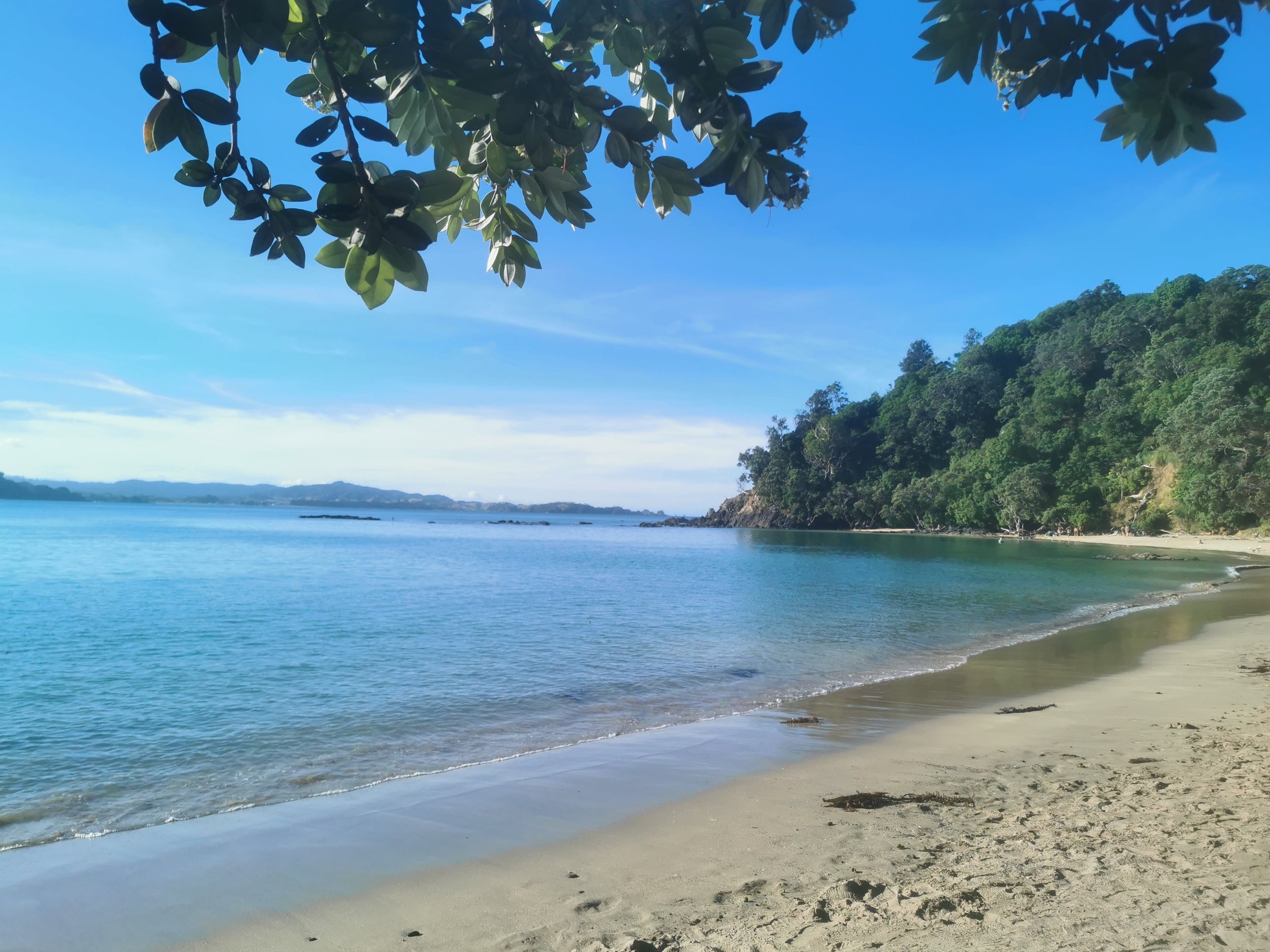 A serene beach scene with clear blue water gently lapping the sandy shore, surrounded by lush green trees and hills in the distance, under a blue sky with faint clouds.