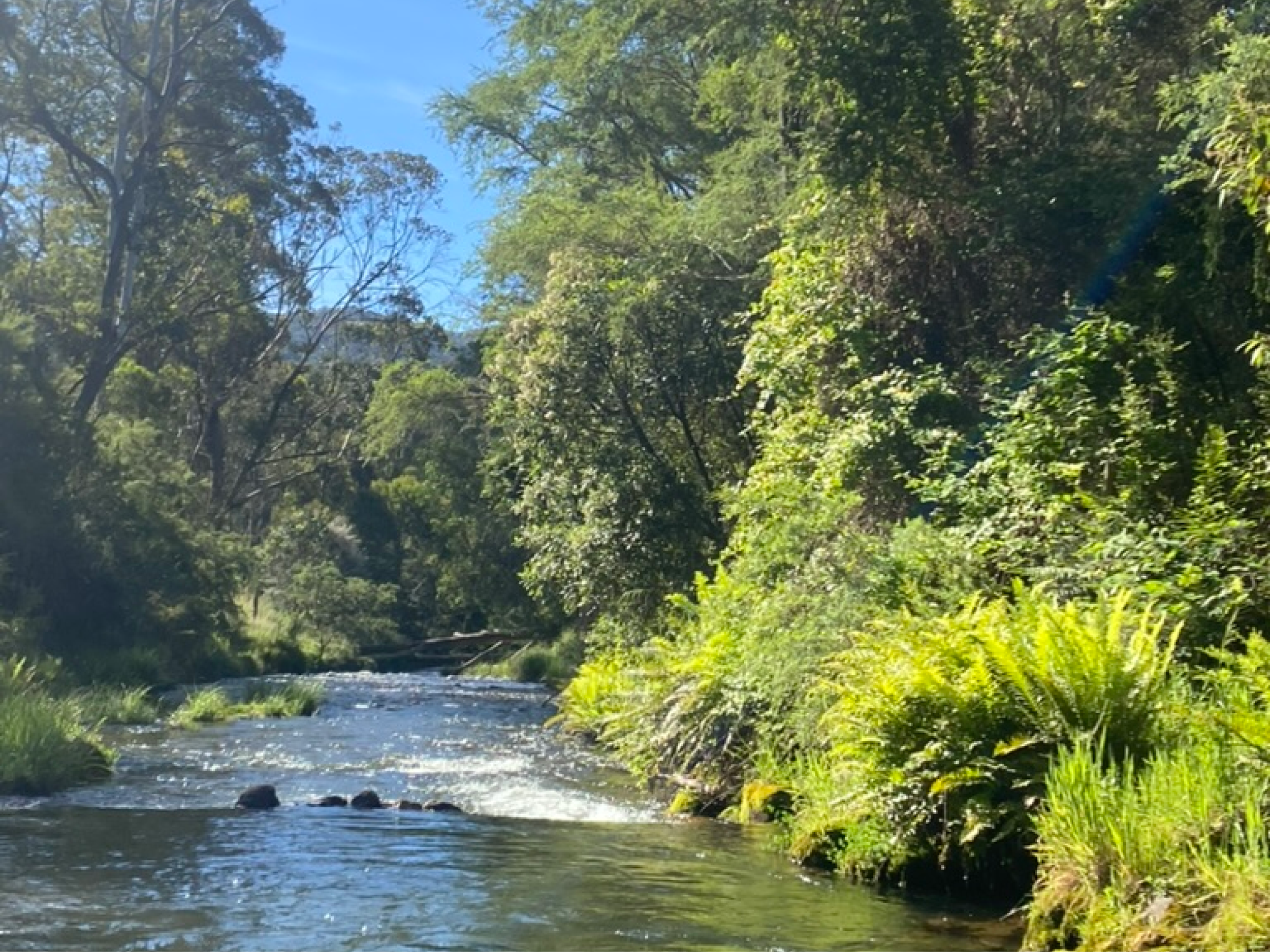 Ovens river.png
