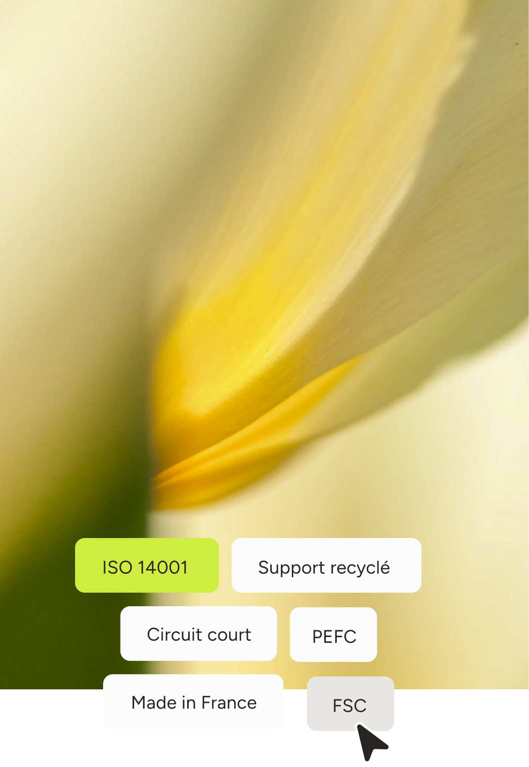 Visuel d'une fleur et d'une interface de sélection de normes fournisseurs fsc pefc iso 14001