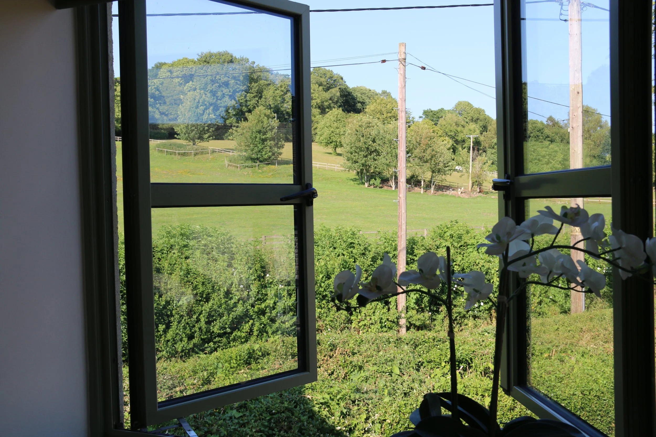 Open window with a view of a green landscape, trees, power lines, and blue sky.