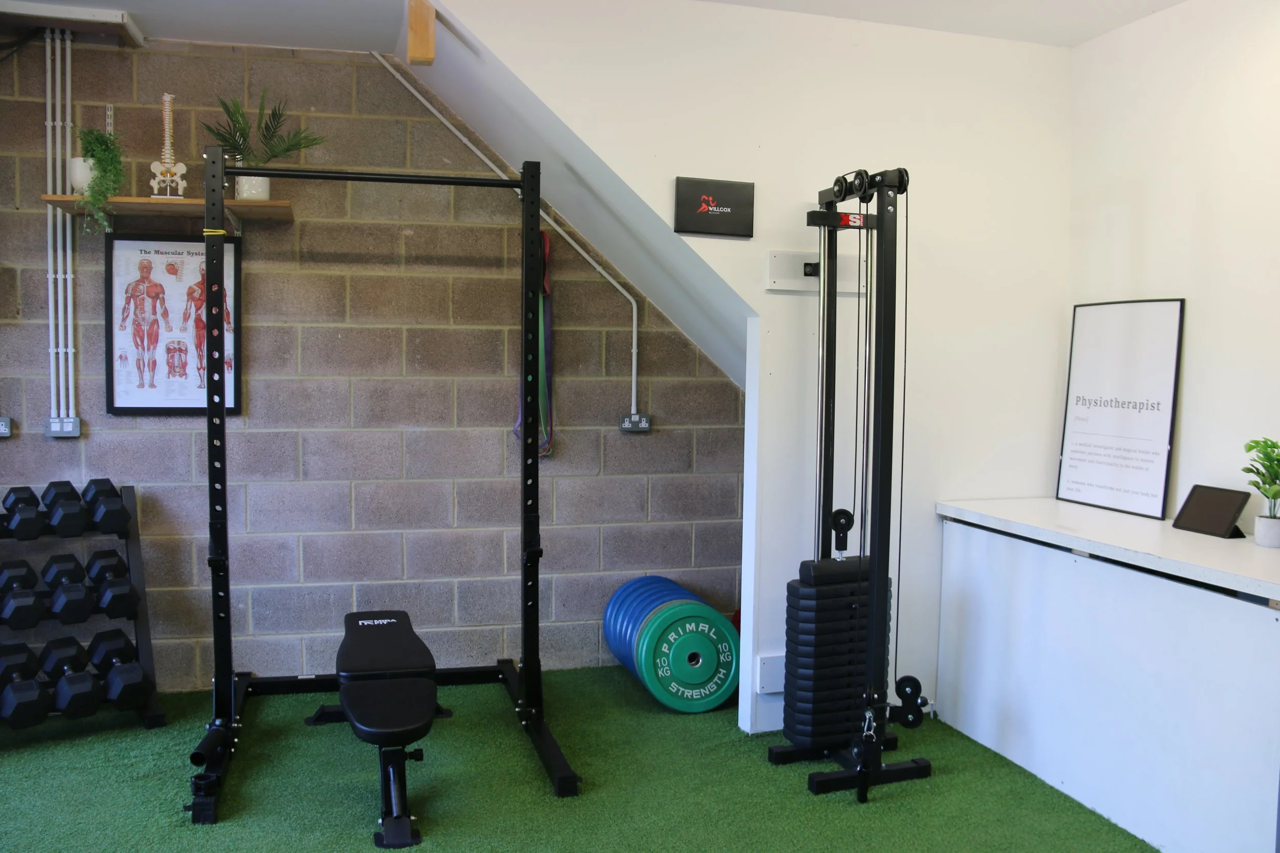 Home gym with black workout equipment, weight plates, and a small green potted plant on white counter in a room with white walls and green carpet
