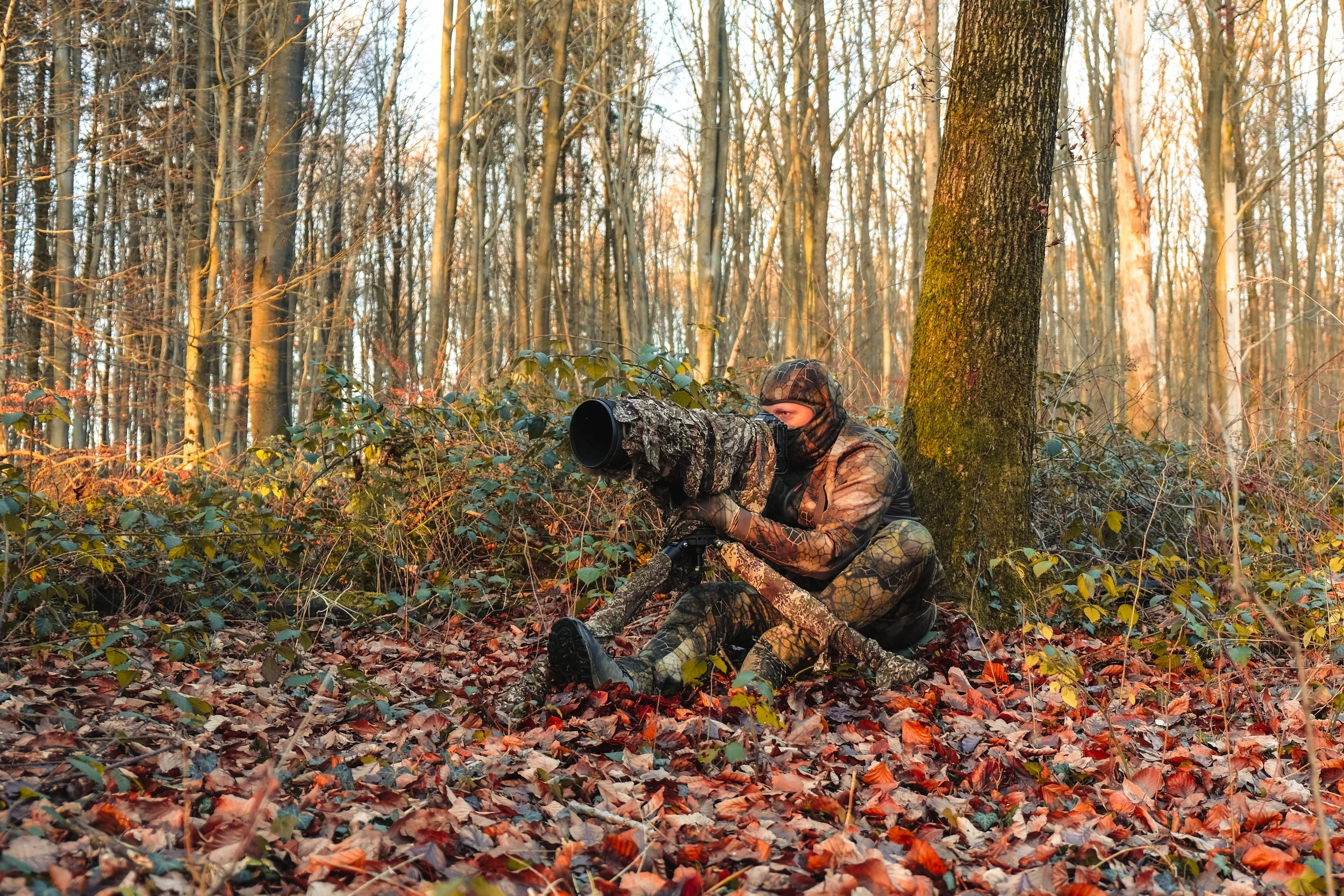 Fotograf im camouflage Anzug fotografiert mit seiner Kamera in einem herbstlichen Laubwald.