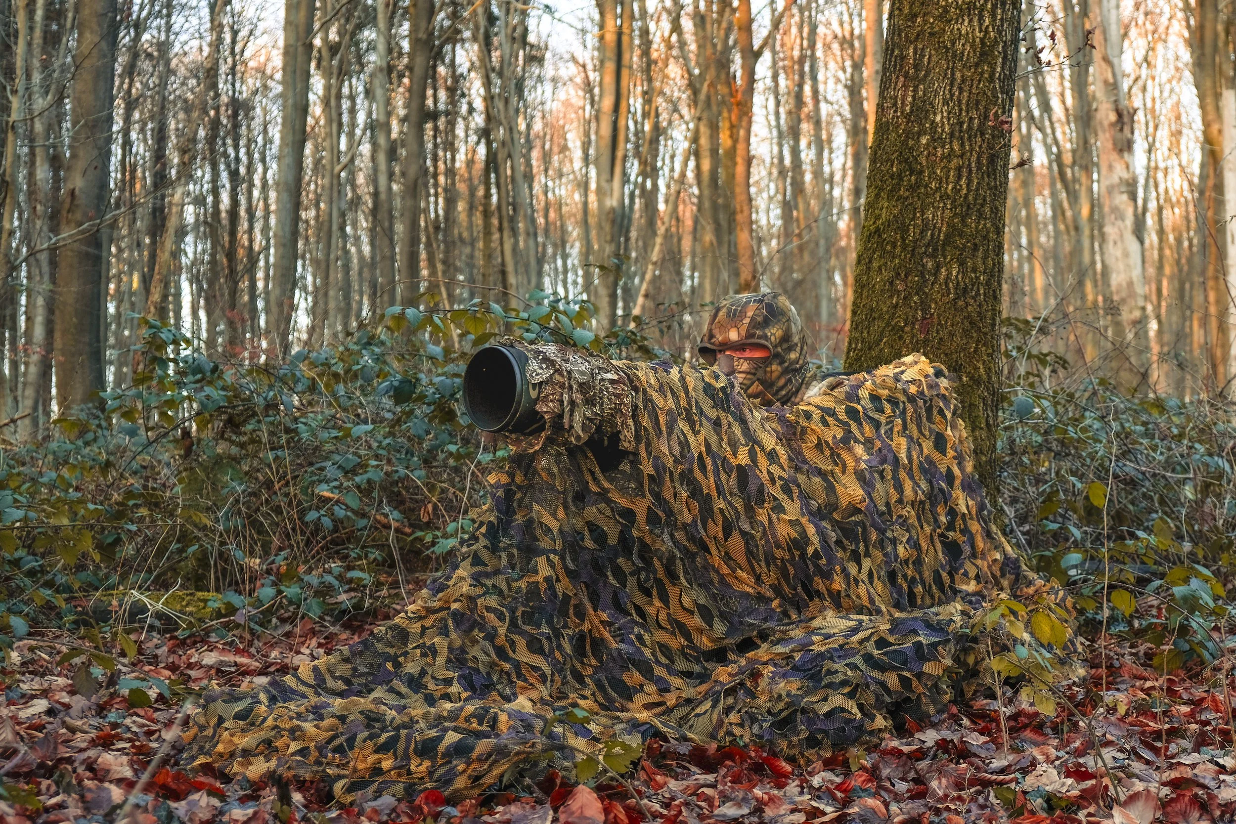 Fotograf in Tarnkleidung, mit einem Tarnnetz, der im Wald eine Beobachtungsposition einnimmt, während die Sonne untergeht.