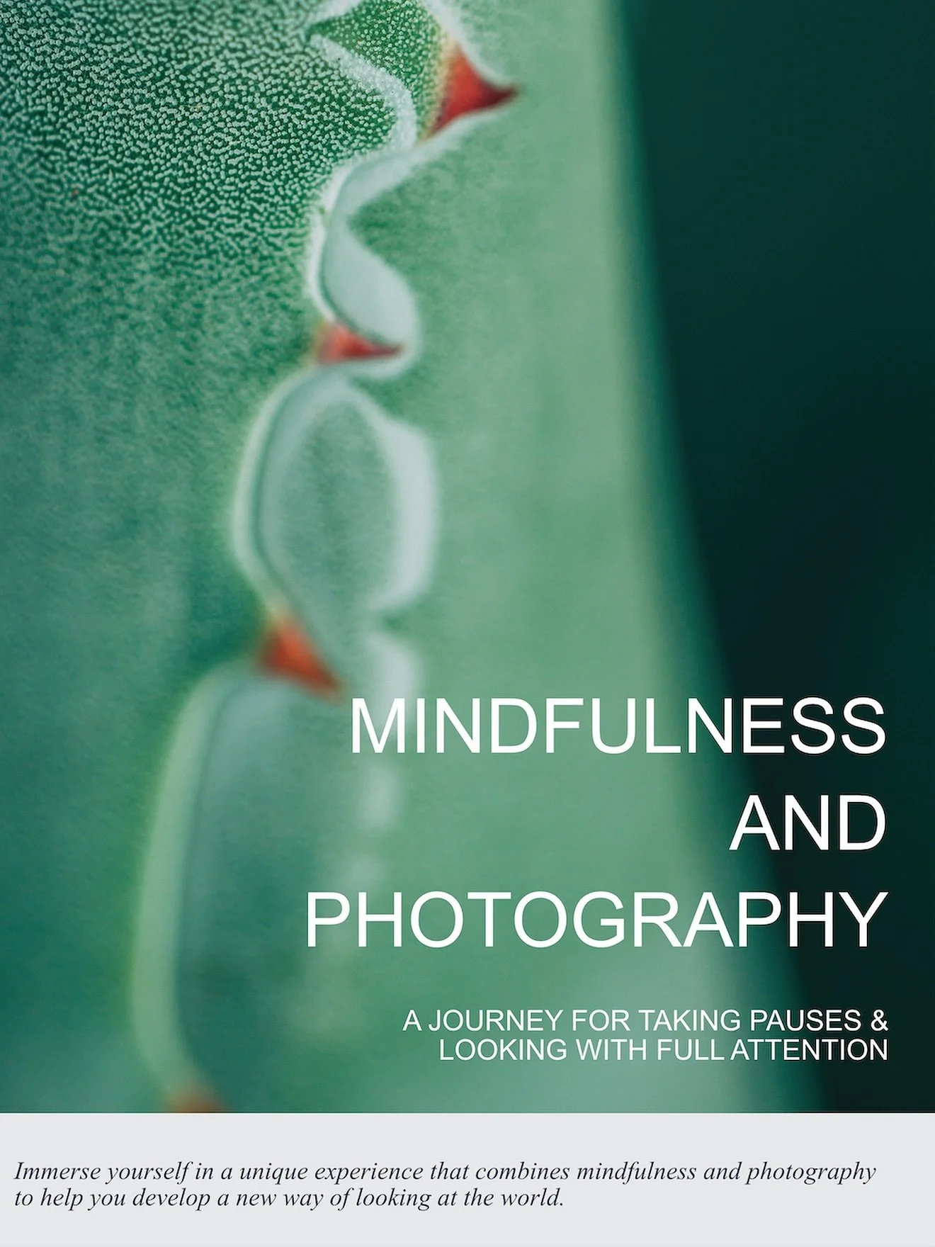 Mindfulness and Photography
.
This course is designed as an experiential and progressive journey that integrates mindfulness practices with guided photography exercises in an innovative way. Its purpose is to foster a more attentive, reflective, and 