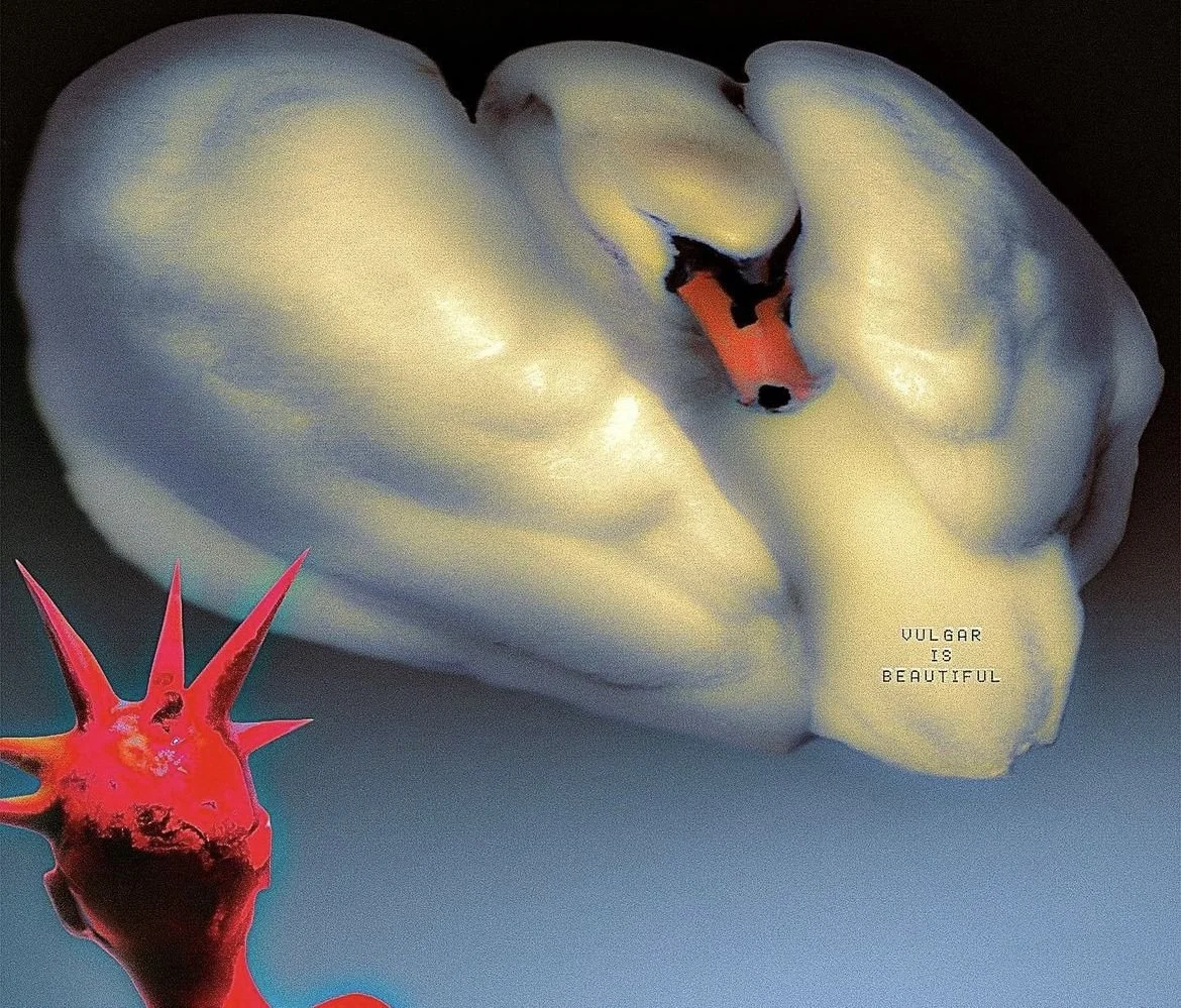 A white swan figure with black eyes and orange beak, and a small red, spiky object in the foreground with the text 'VULGAR IS BEAUTIFUL'.