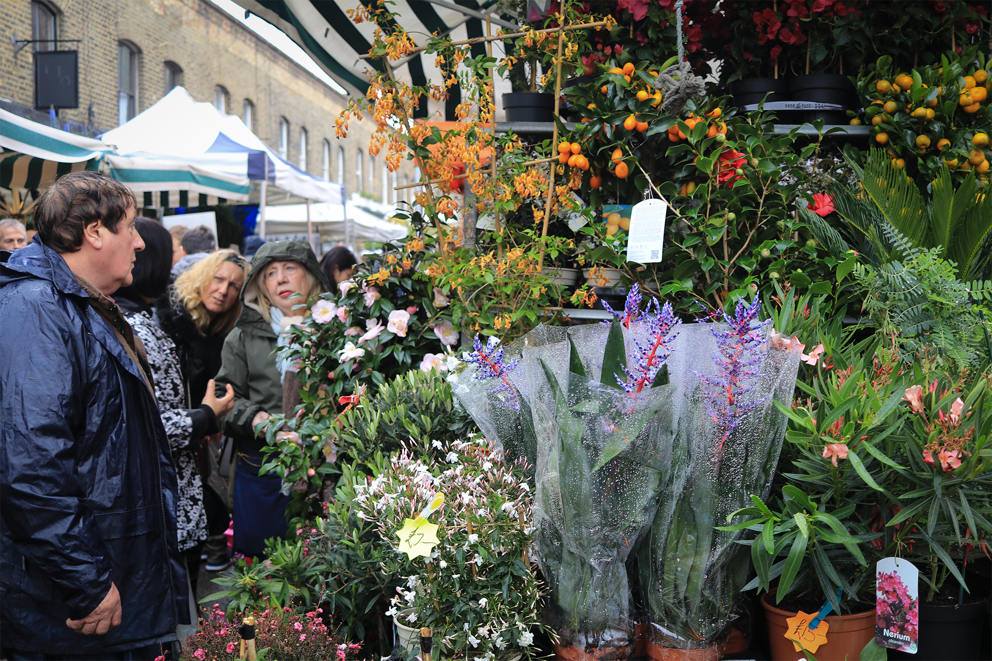 Flower Market-04.png
