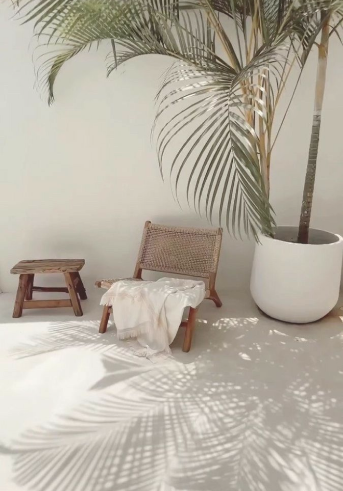 A large potted palm plant casting shadows on a light-colored floor next to a wicker chair with a white throw draped over it and a small wooden stool