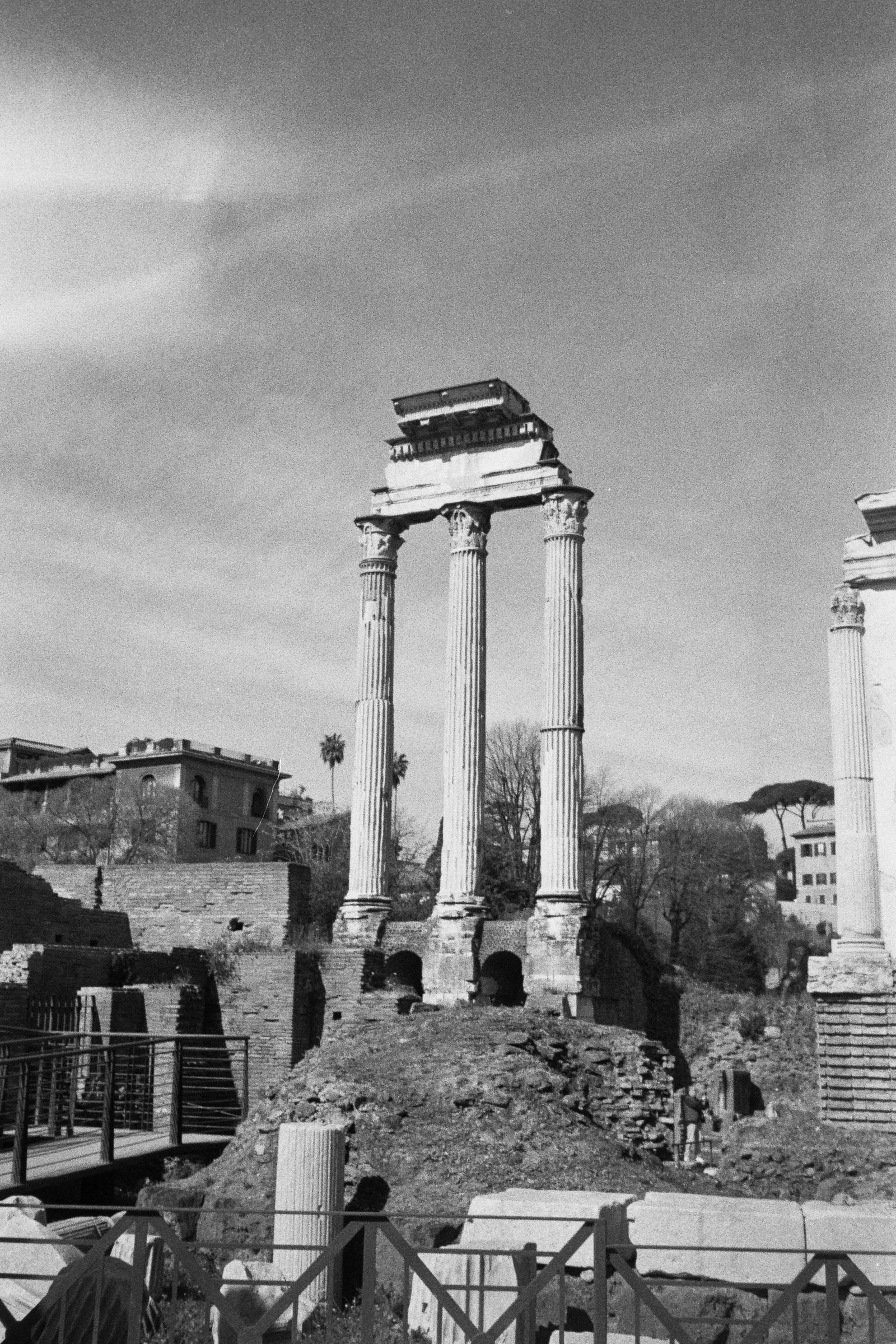 Romana Forum, Italy (2025)