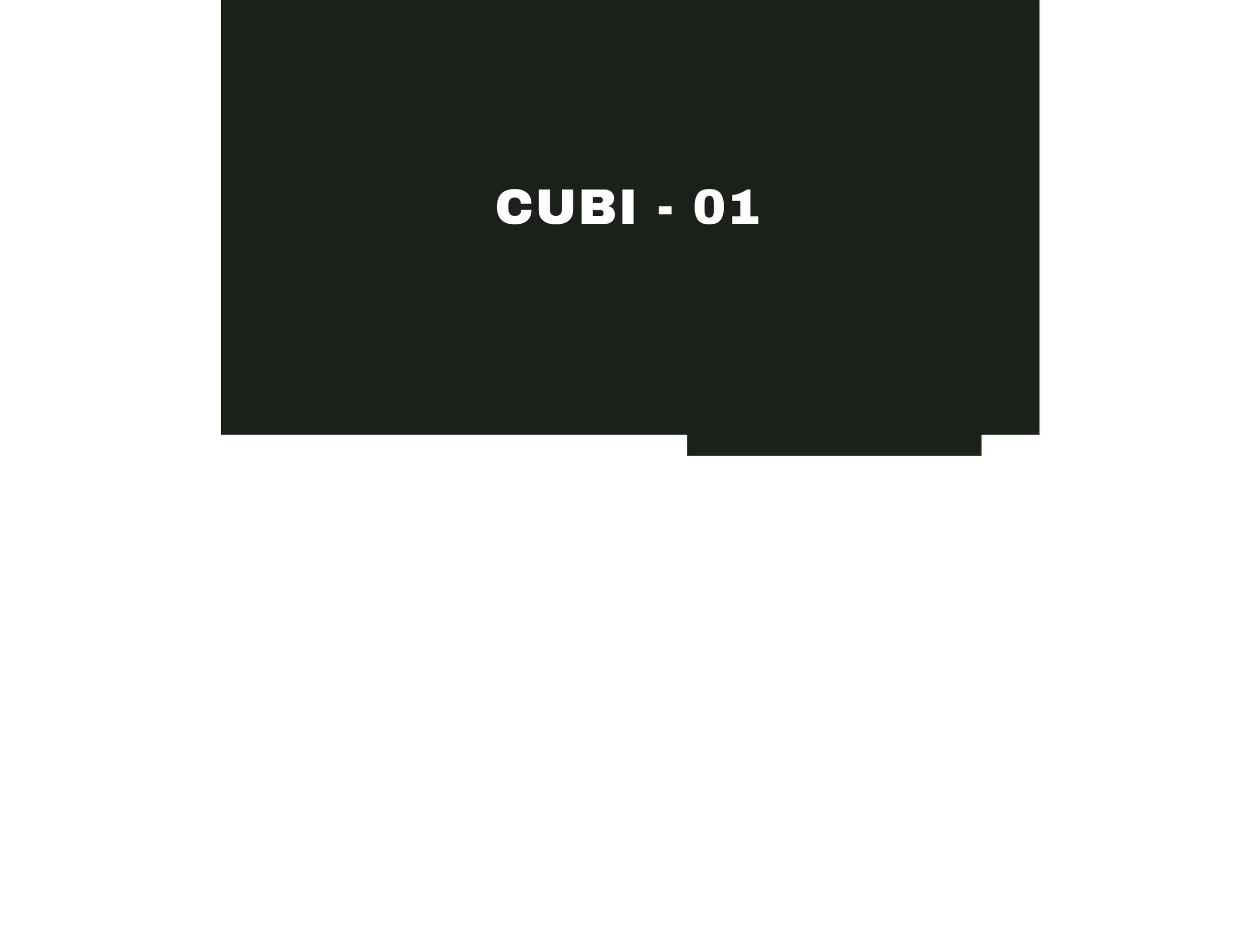 CUBI - 01