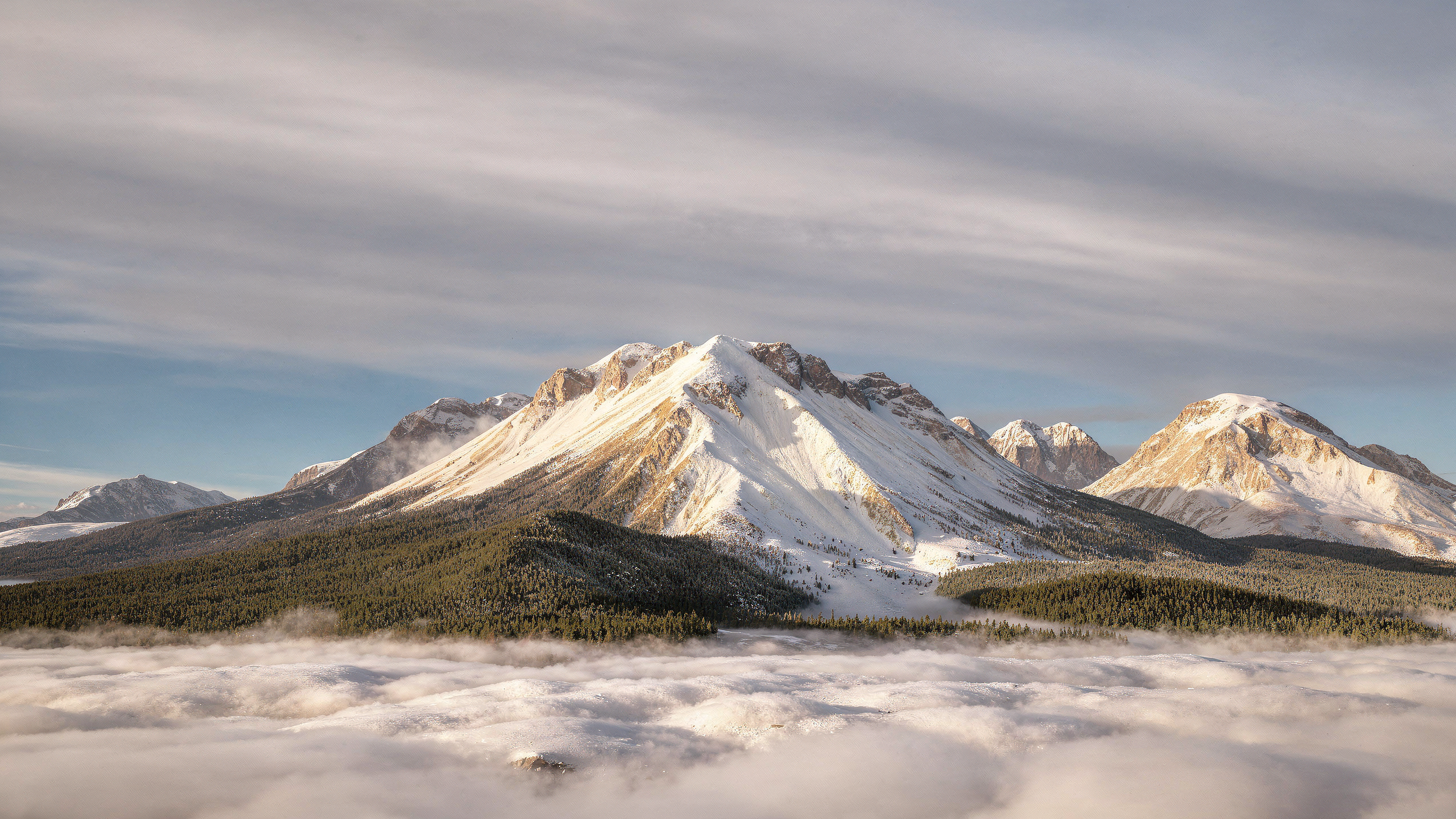 untitled_Topaz Sharpen_2026-07-03_14-51-35.png