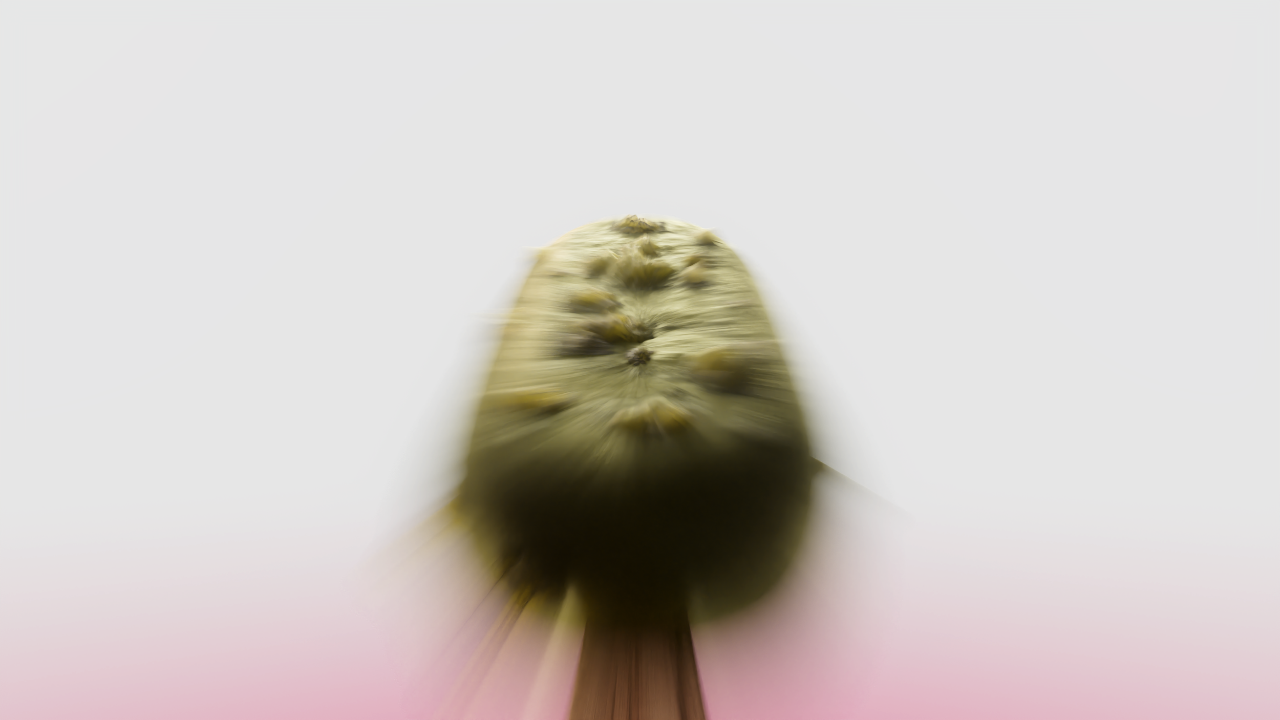 PIST1_00011.png