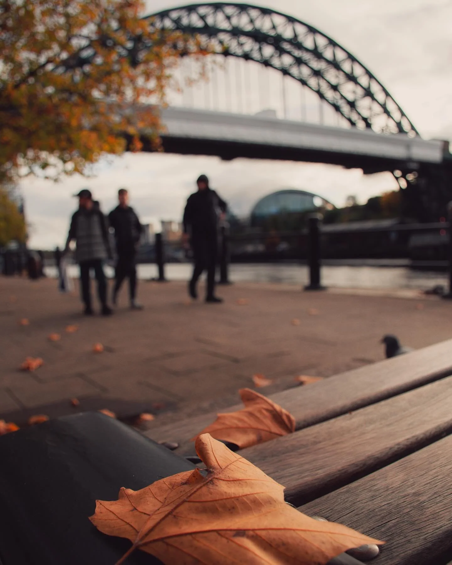 The best time of year for photography I reckon
#northeast #northeastphotographer #northeastphotography #northeastengland #newcastle #newcastleupontyne #newcastlequayside #tynebridge #street #streetphotography #city #citystreets #uk #ukshots #your_br