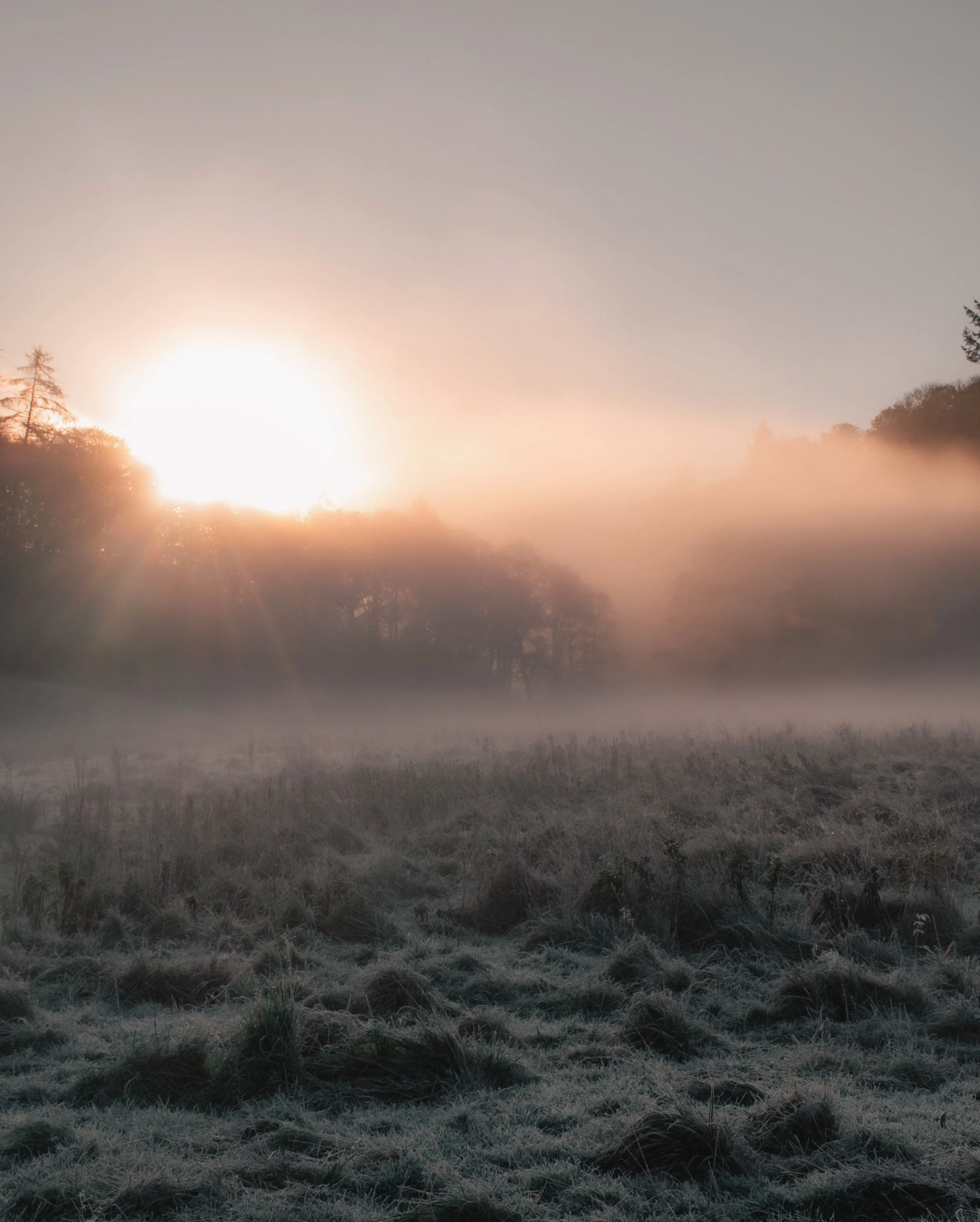 EEB32F40-4311-4CC9-A251-411EAE5B44EF 2.JPG