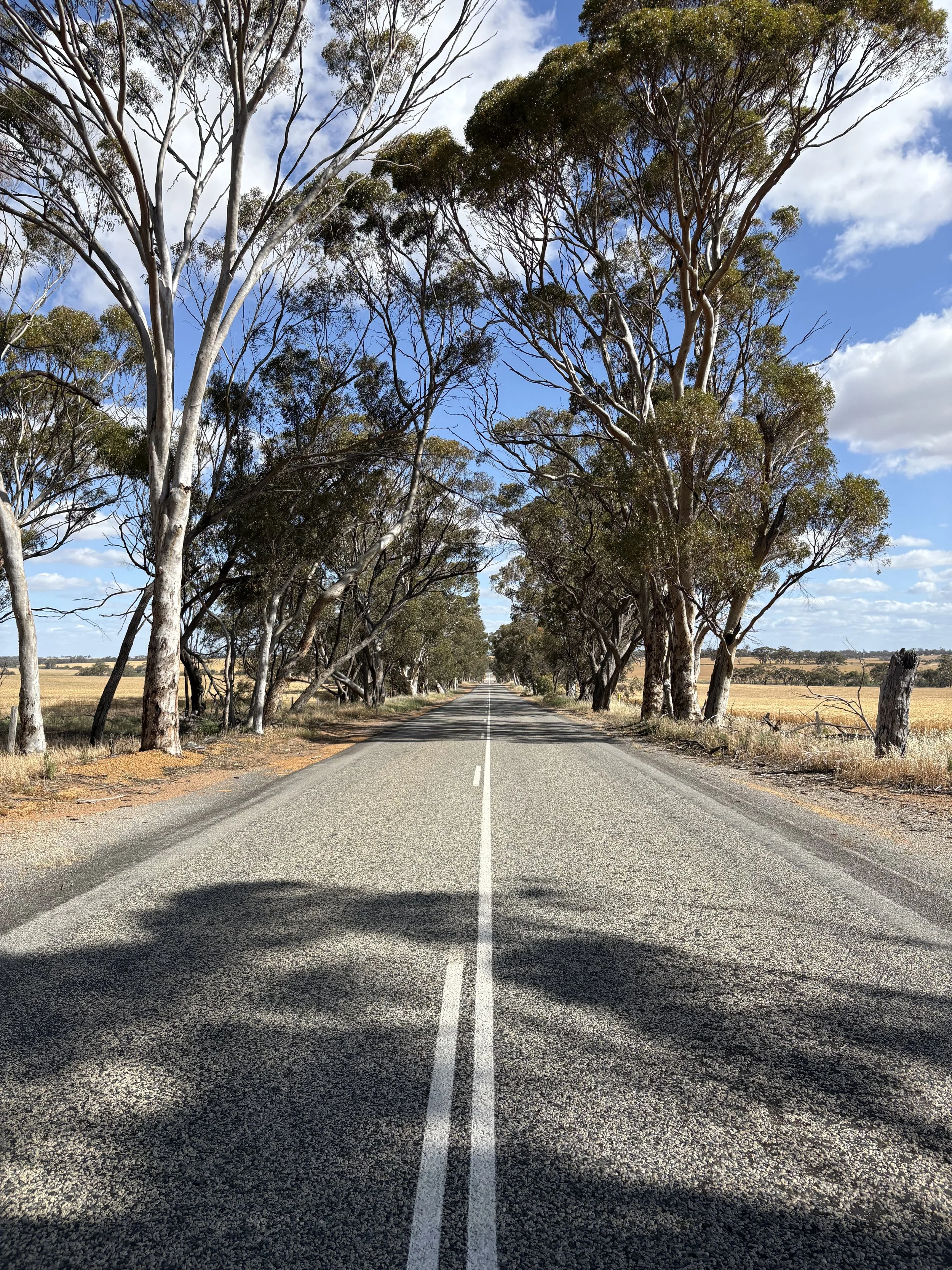 Toodyay-Bindi Bindi Road Before