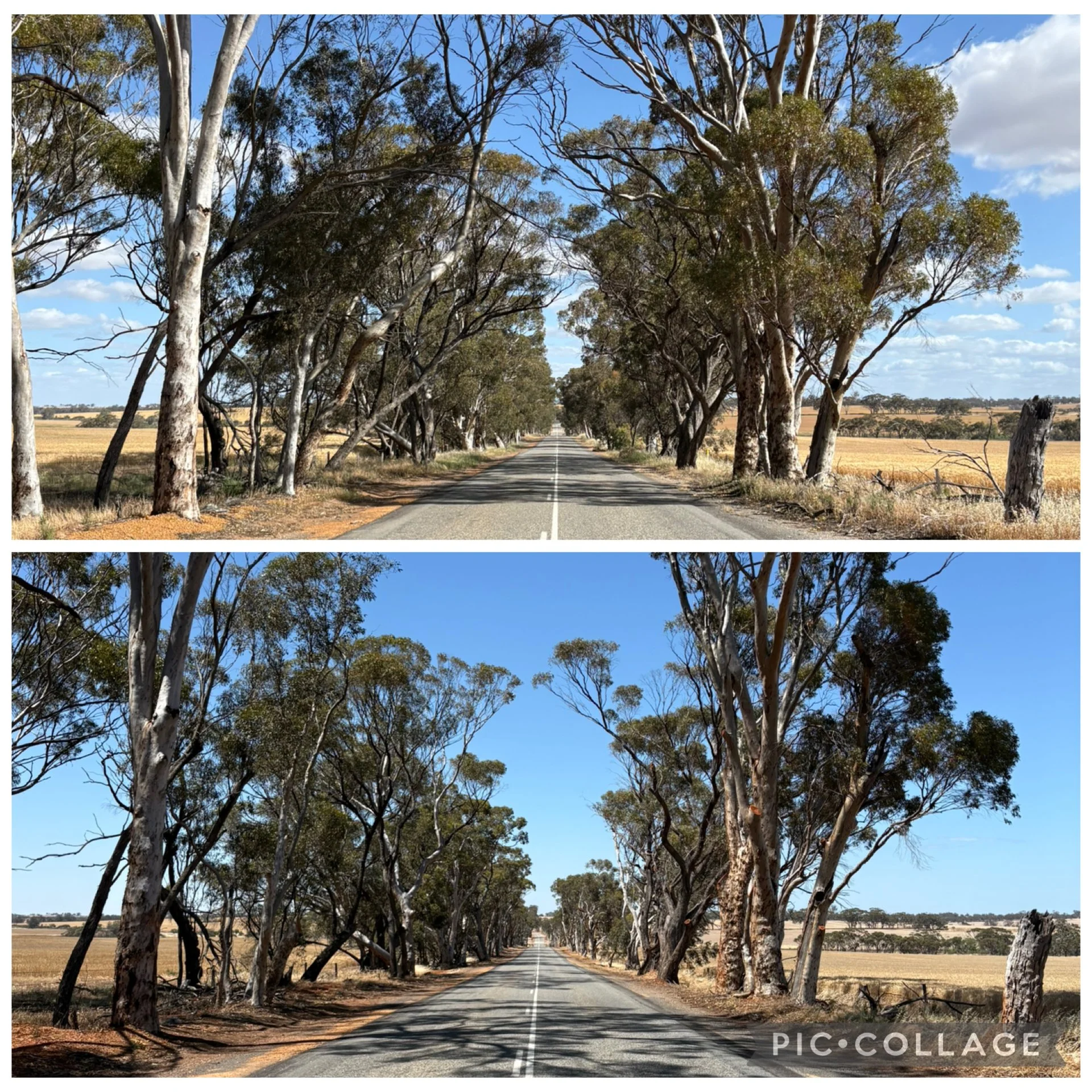 Toodyay-Bindi Bindi Road Before and After