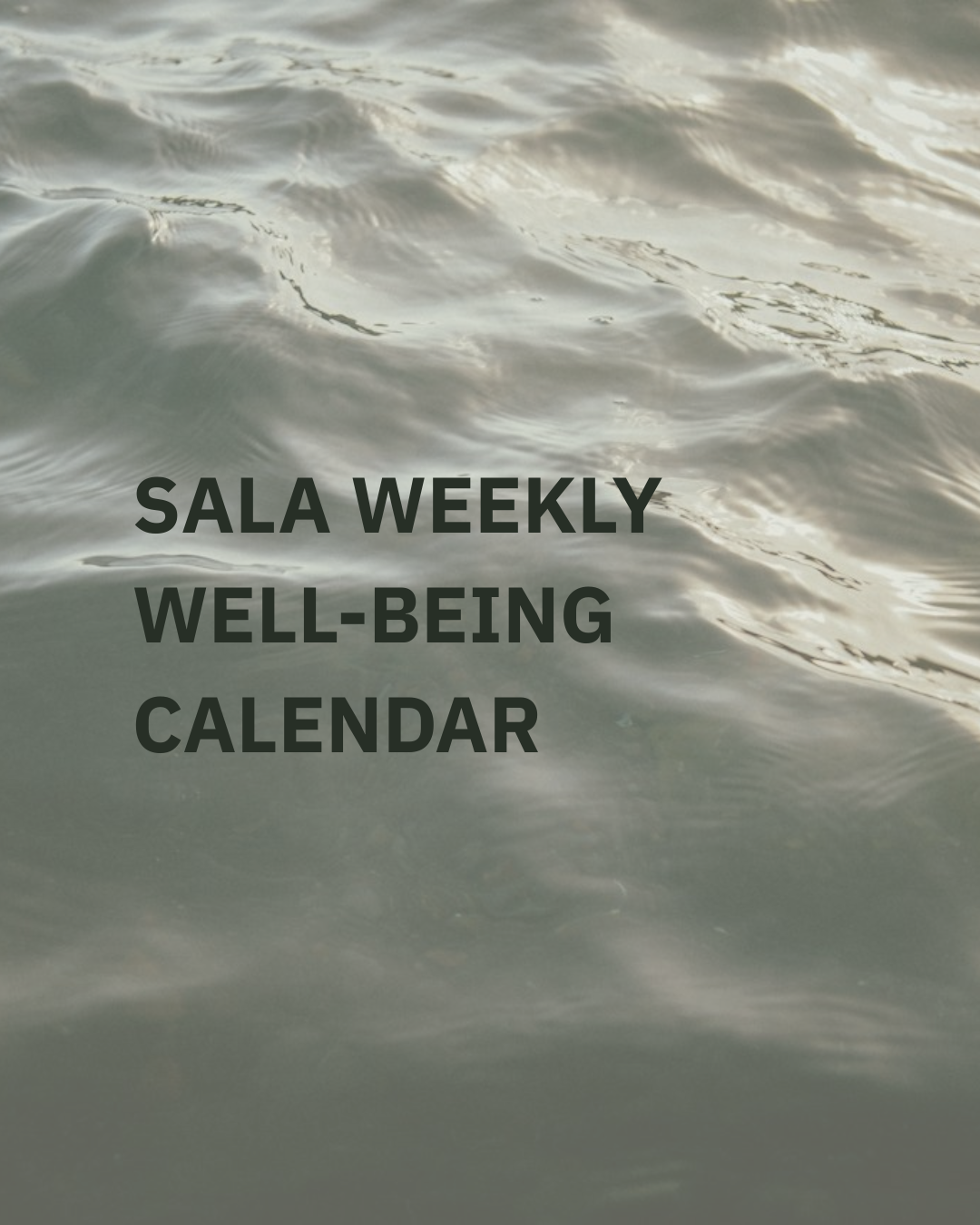 SALA Weekly schedule